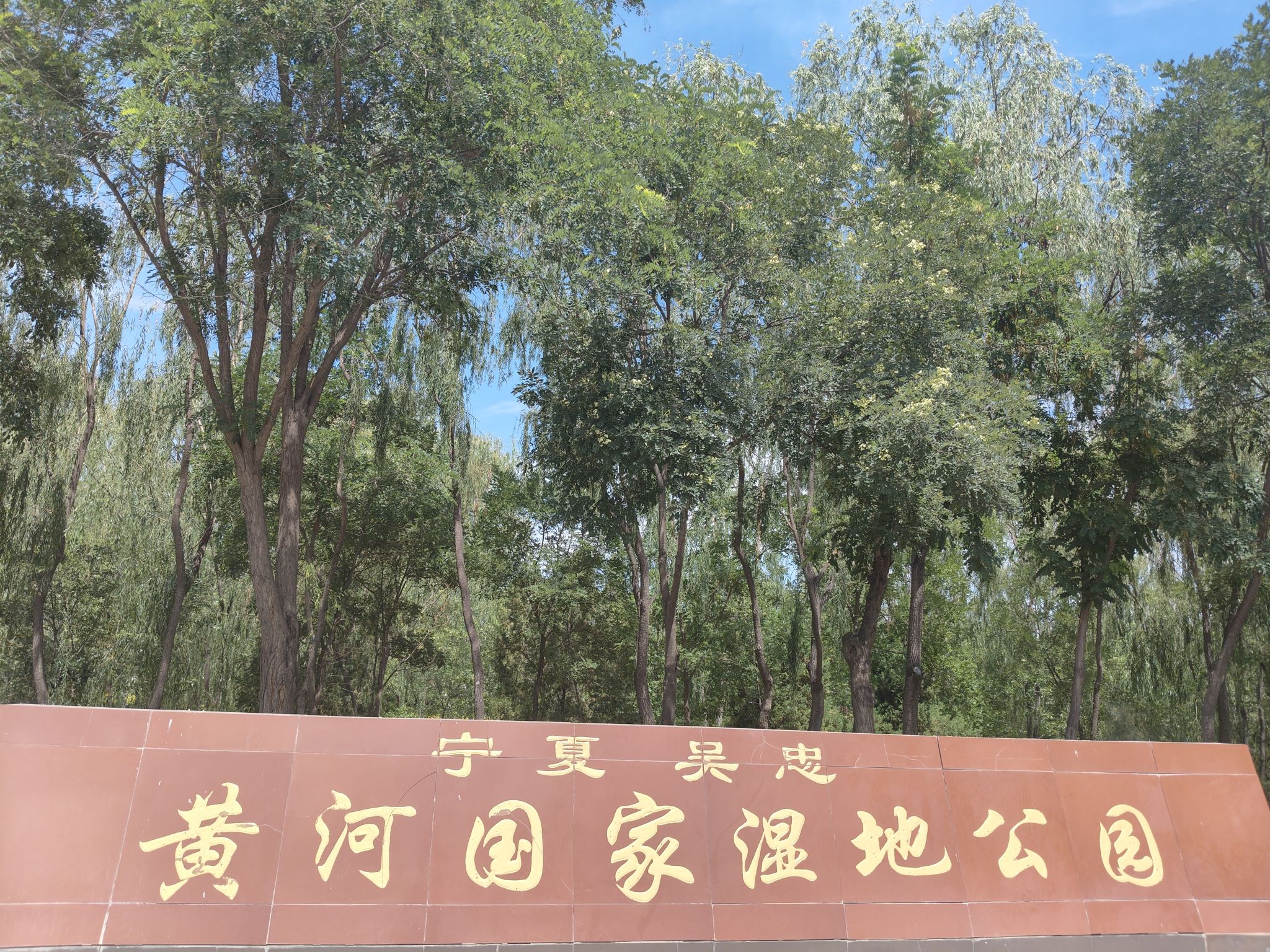 宁夏吴忠黄河国家湿地公园