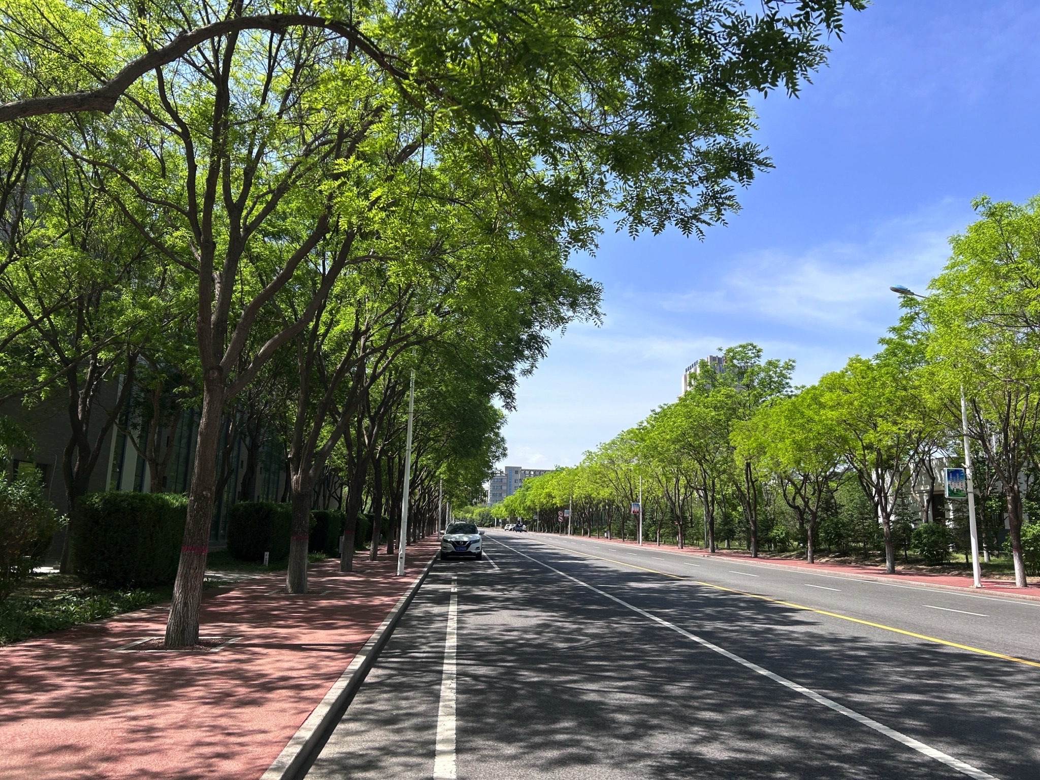 宁夏师范大学(古雁校区)