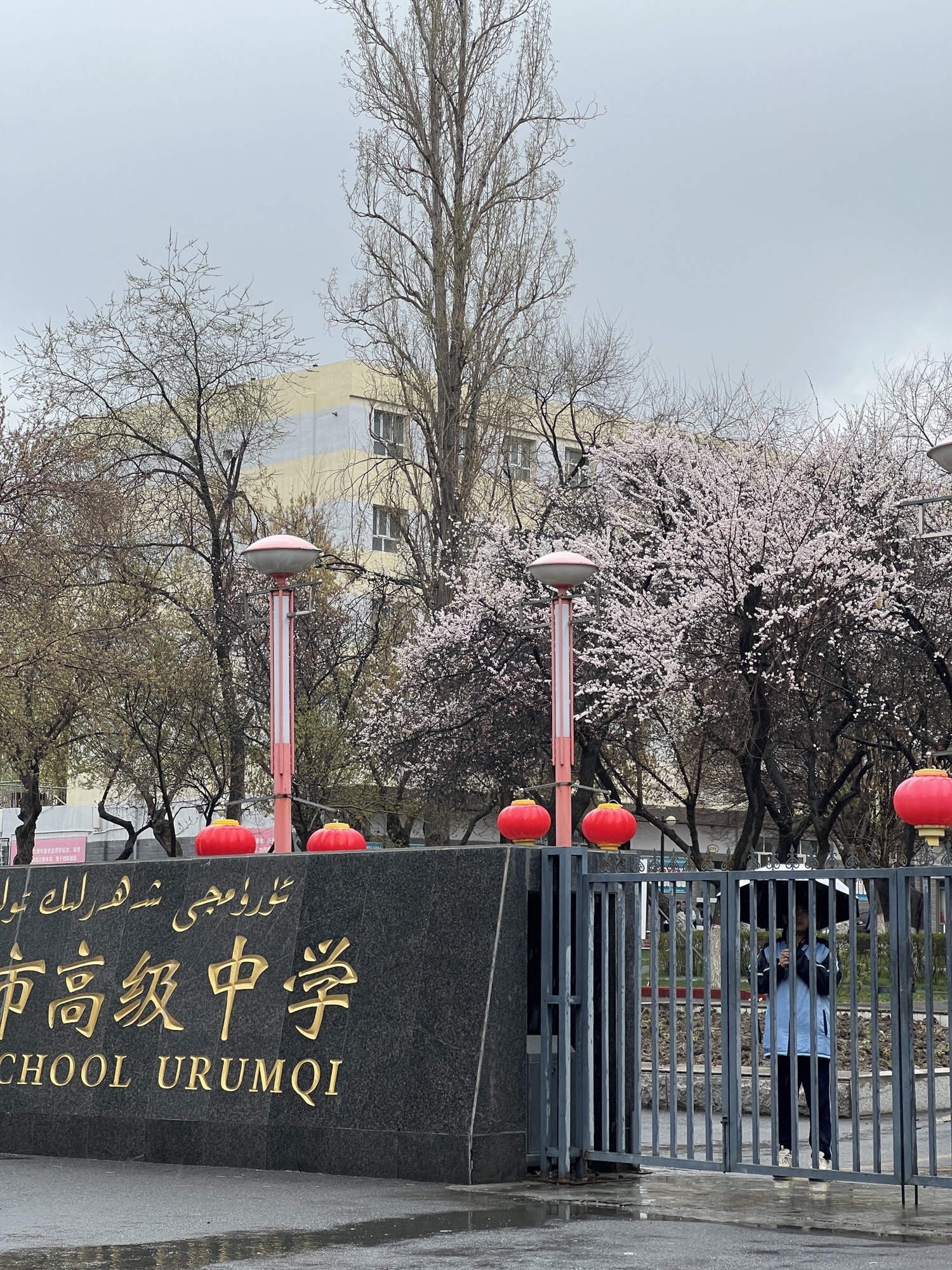 乌鲁木齐市高级中学