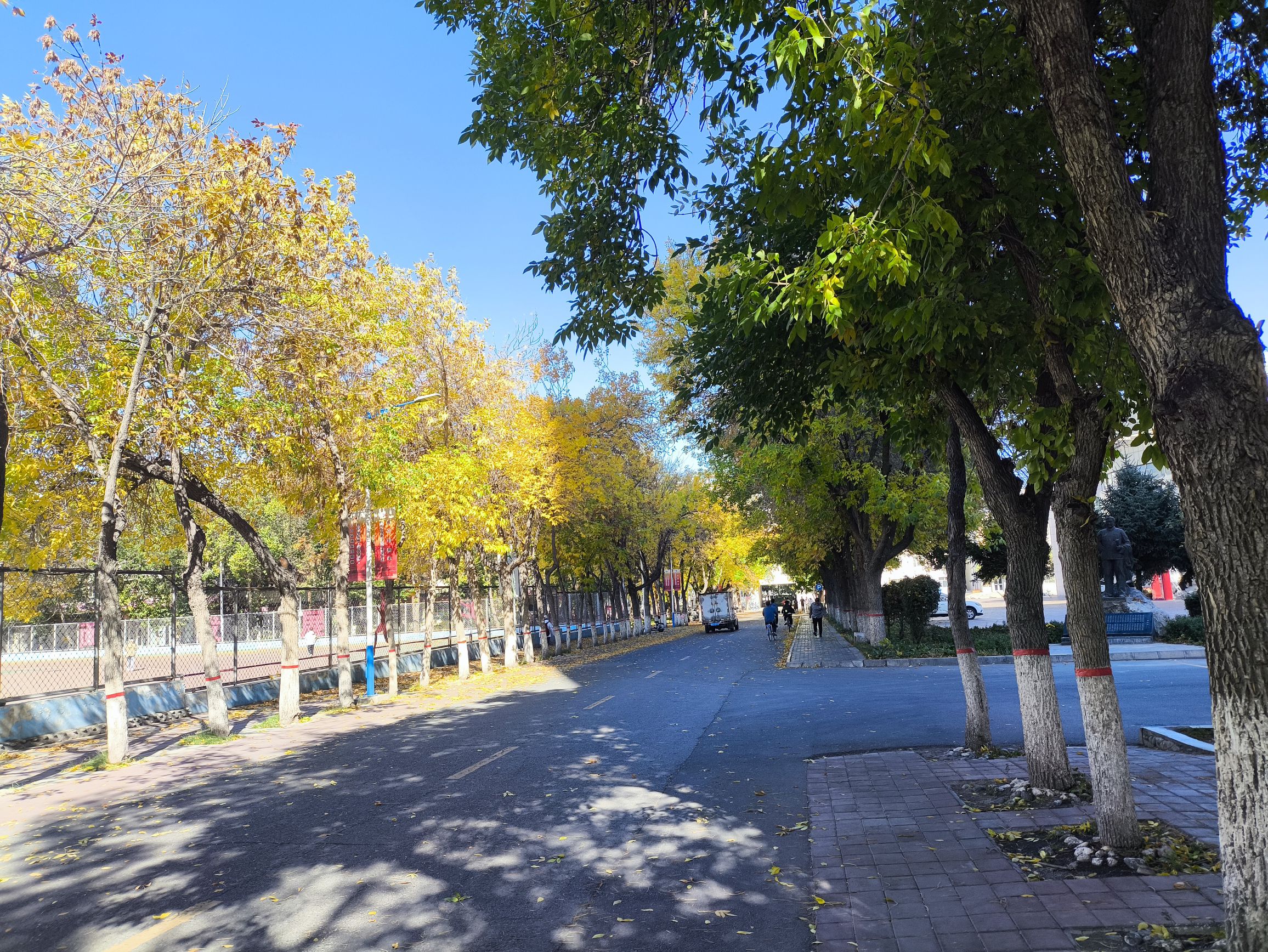石河子大学北区