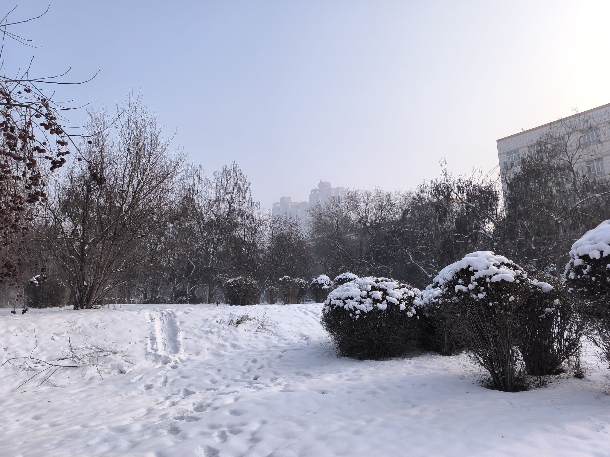石河子大学(东区)