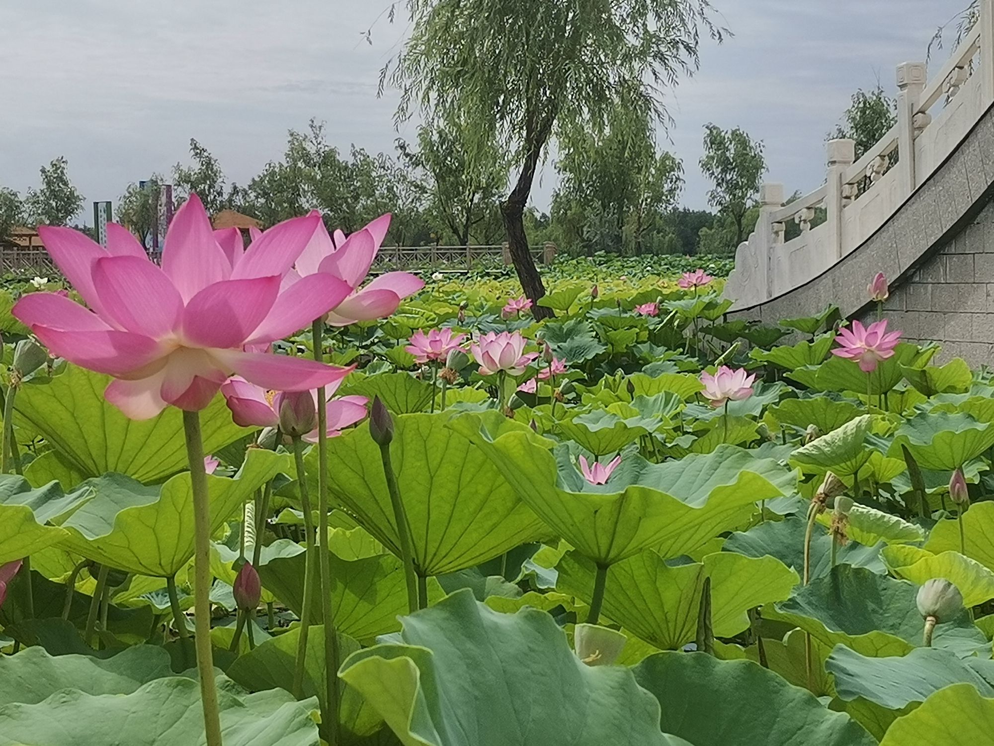 五家渠青格达湖旅游风景区-猛进水库