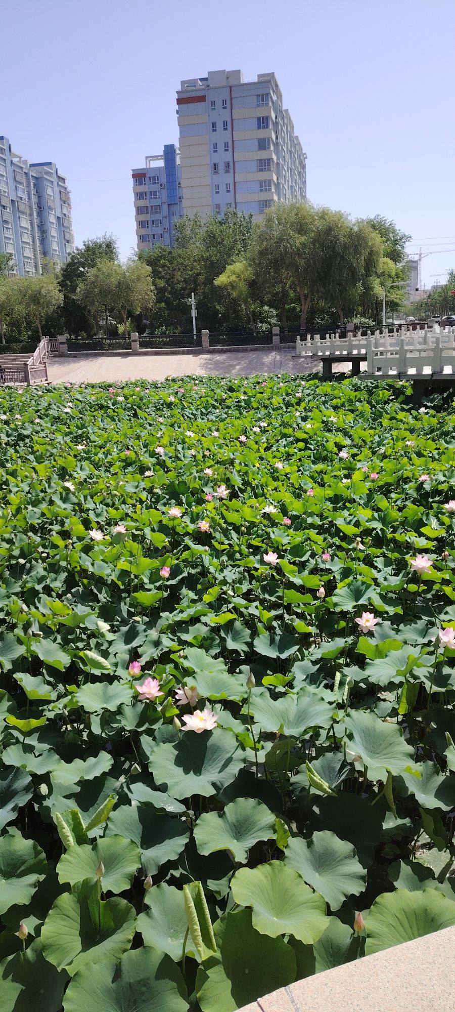 库尔勒经济技术开发区