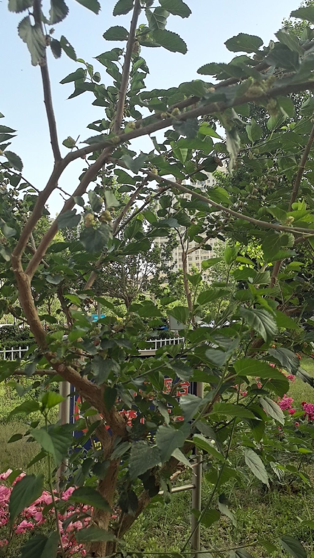 晶水路电力小区