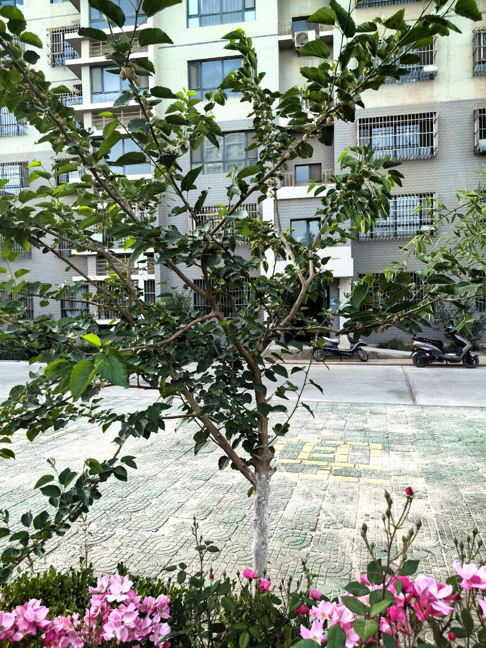 晶水路电力小区