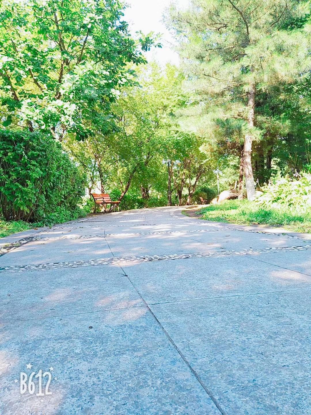 龙源公园旅行图片 3