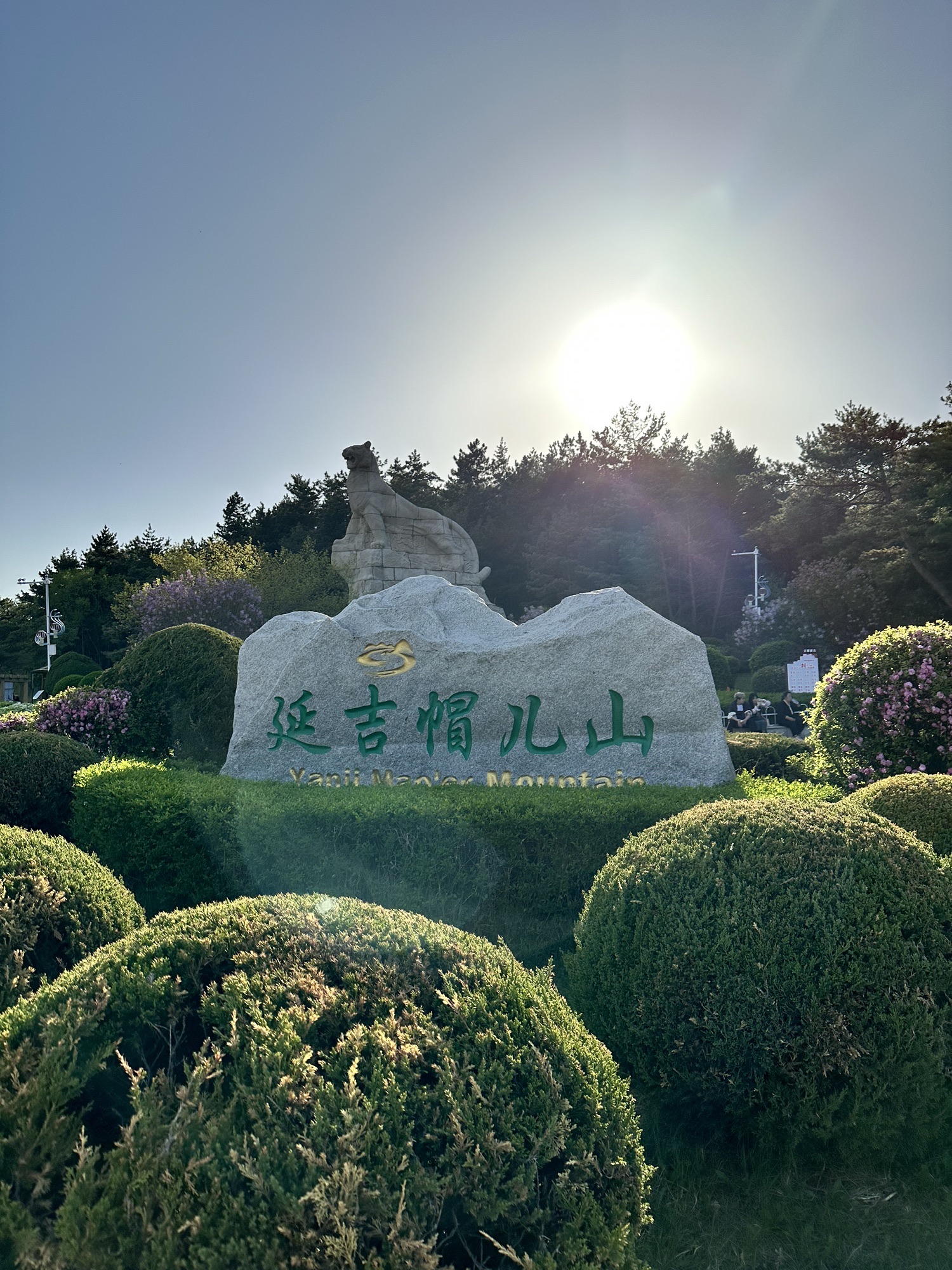 帽儿山国家森林公园旅行图片 1