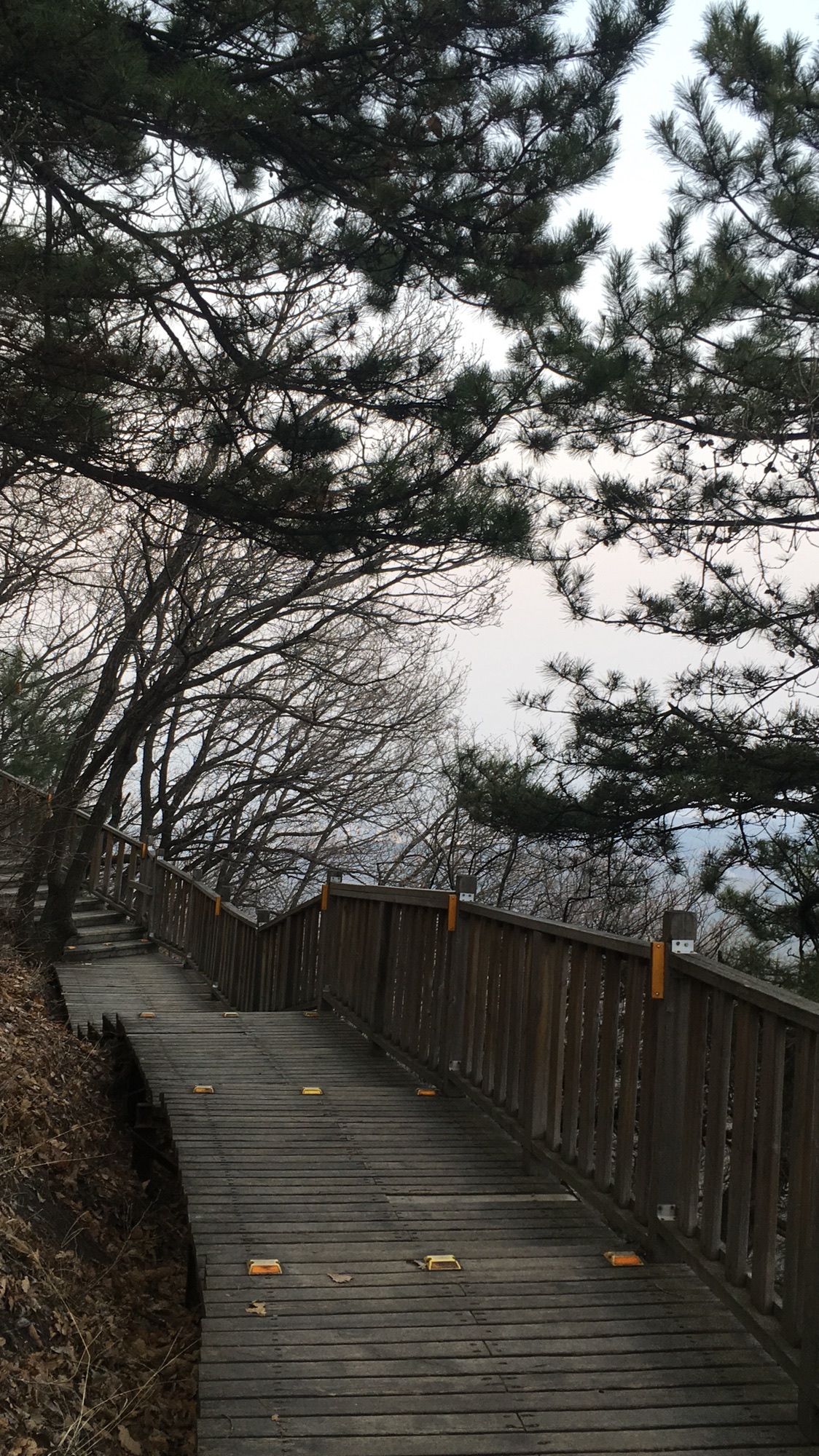 帽儿山国家森林公园旅行图片 1