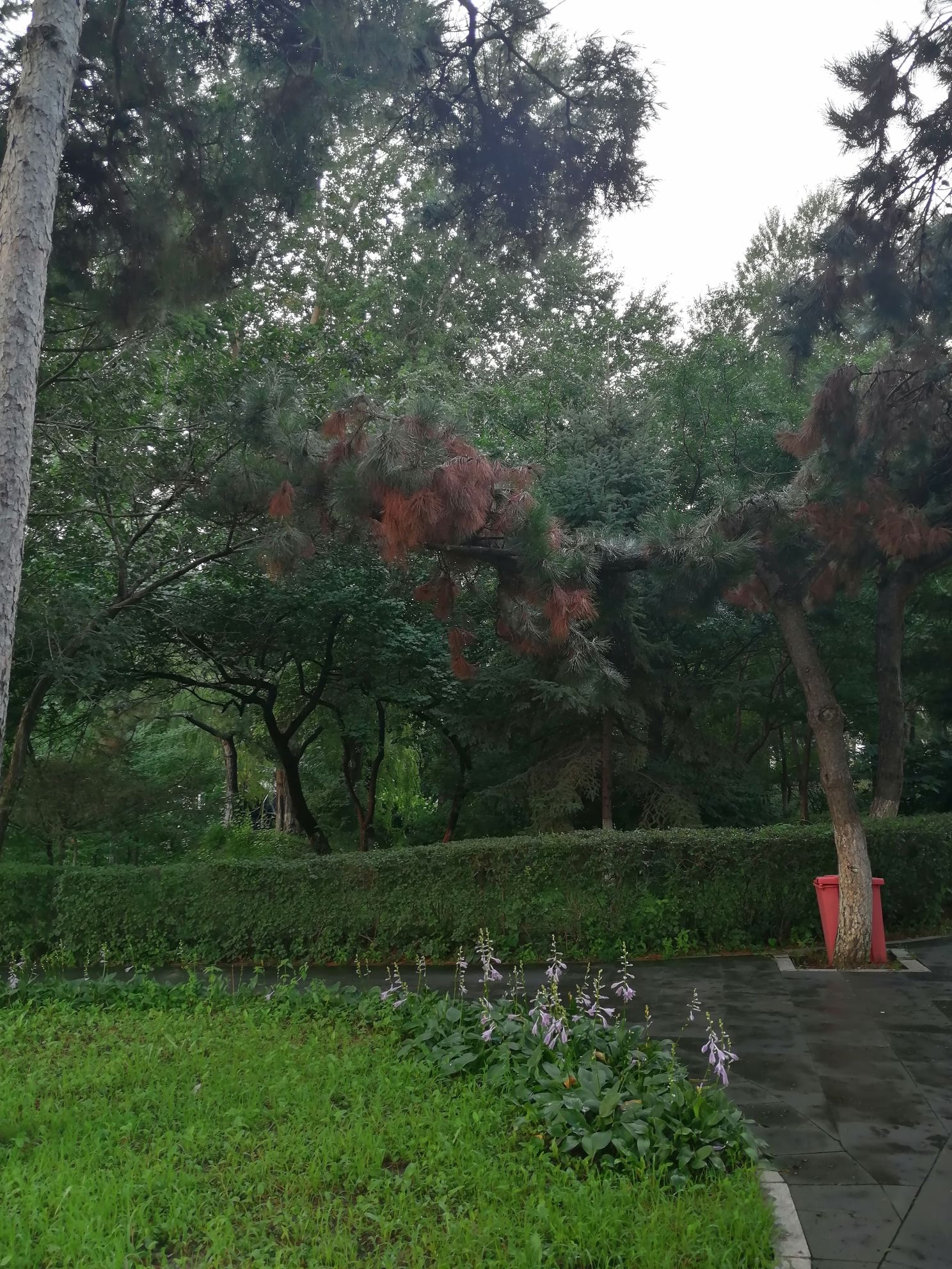 人民公园旅行图片 3