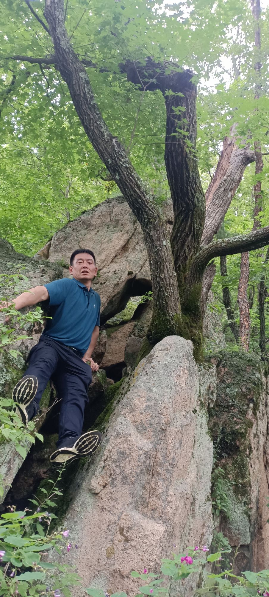 仙景台旅行图片 3