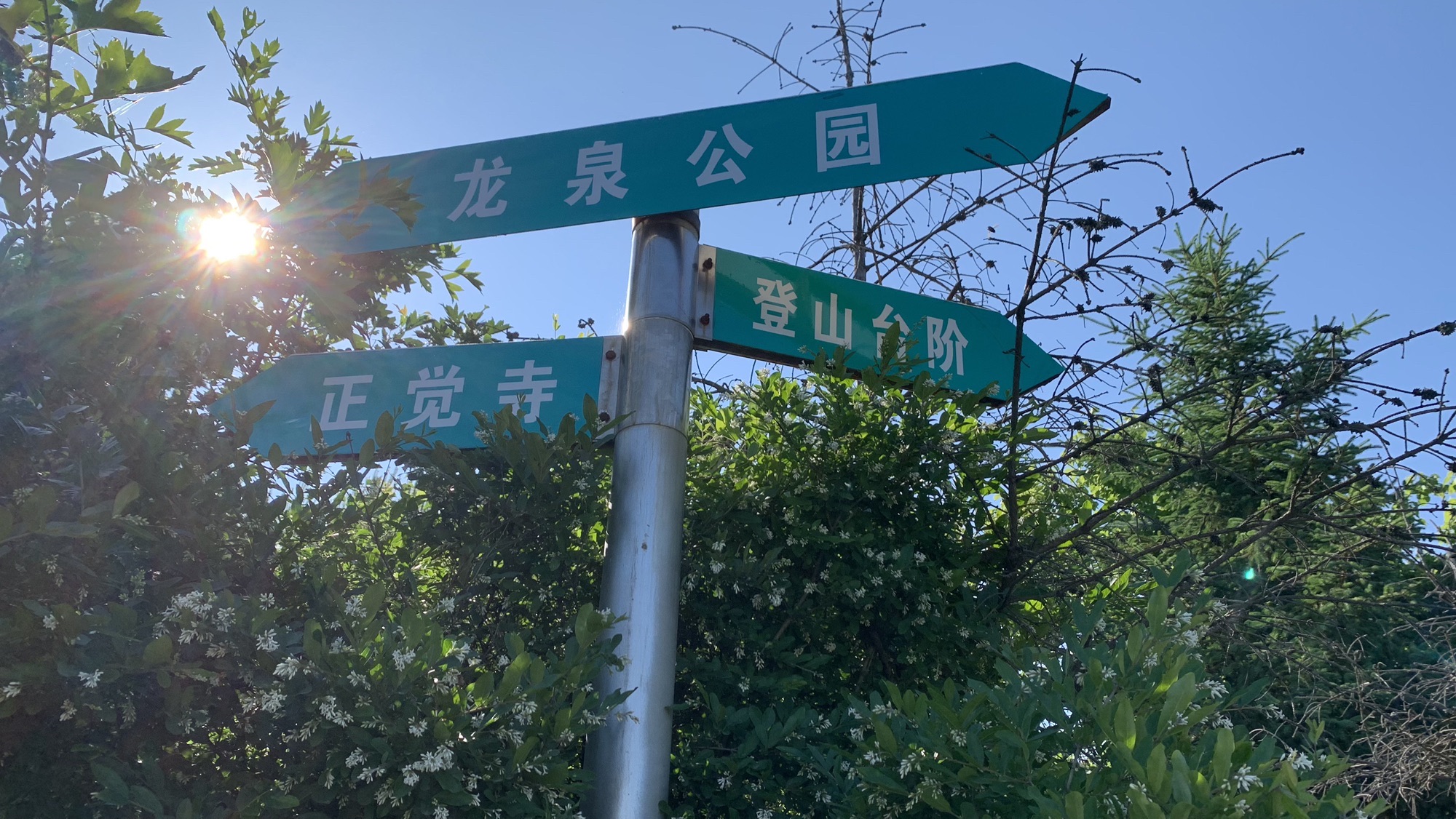 北山景区旅行图片 3