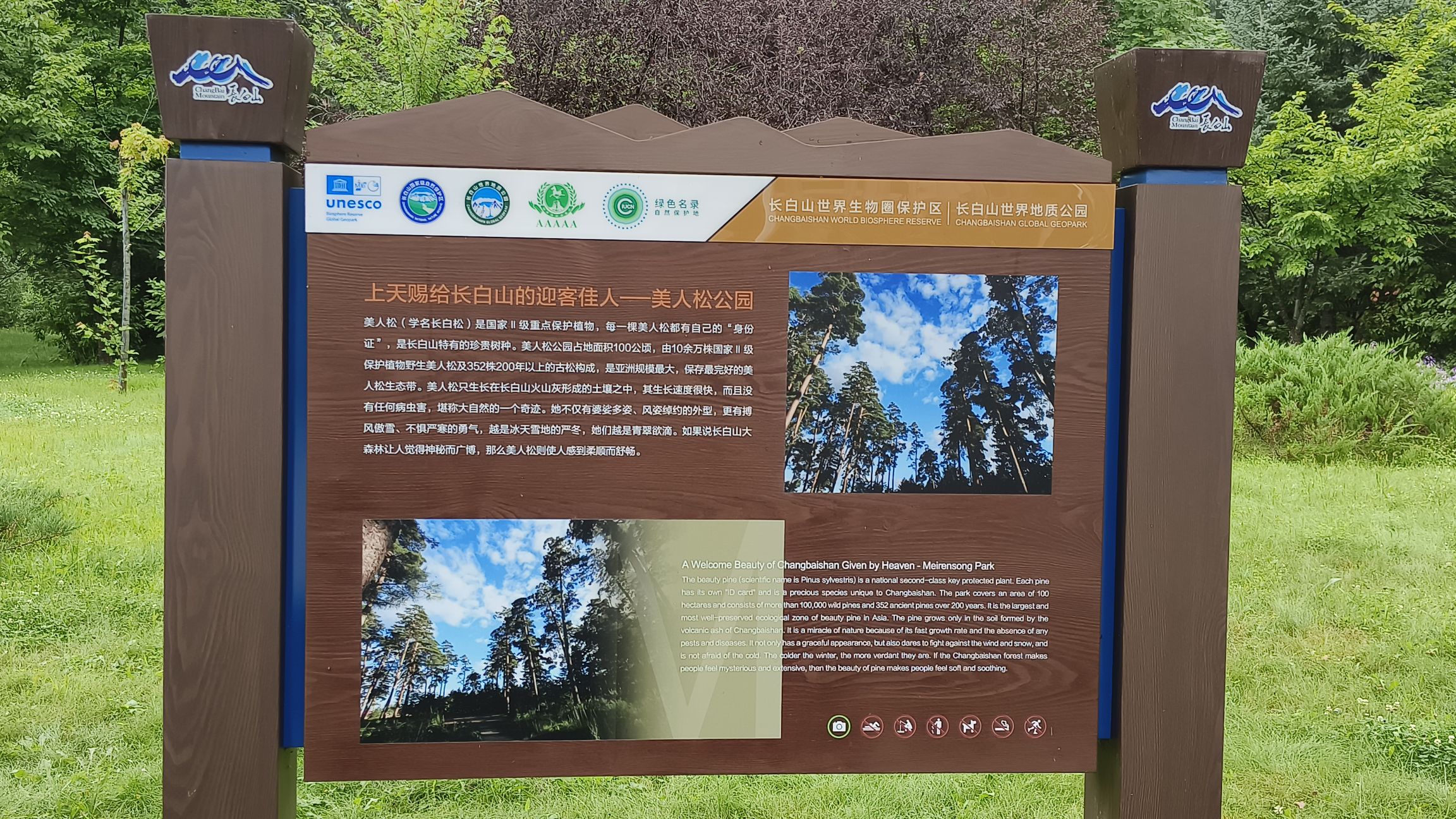 长白山美人松国际雕塑园景点图片