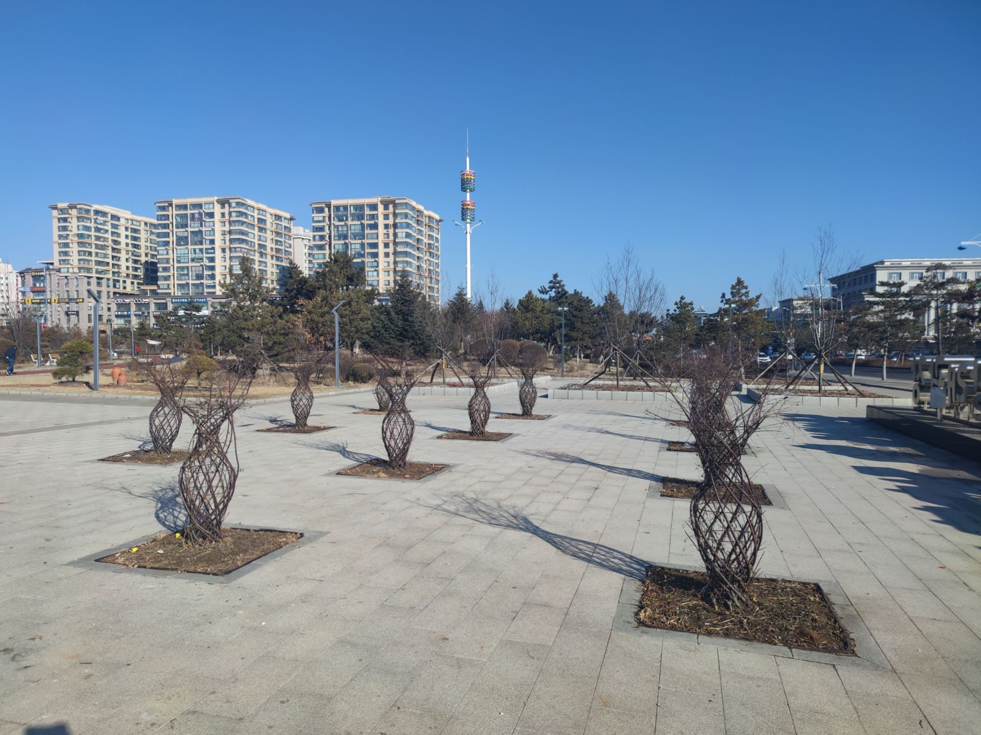 金达莱广场旅行图片 3