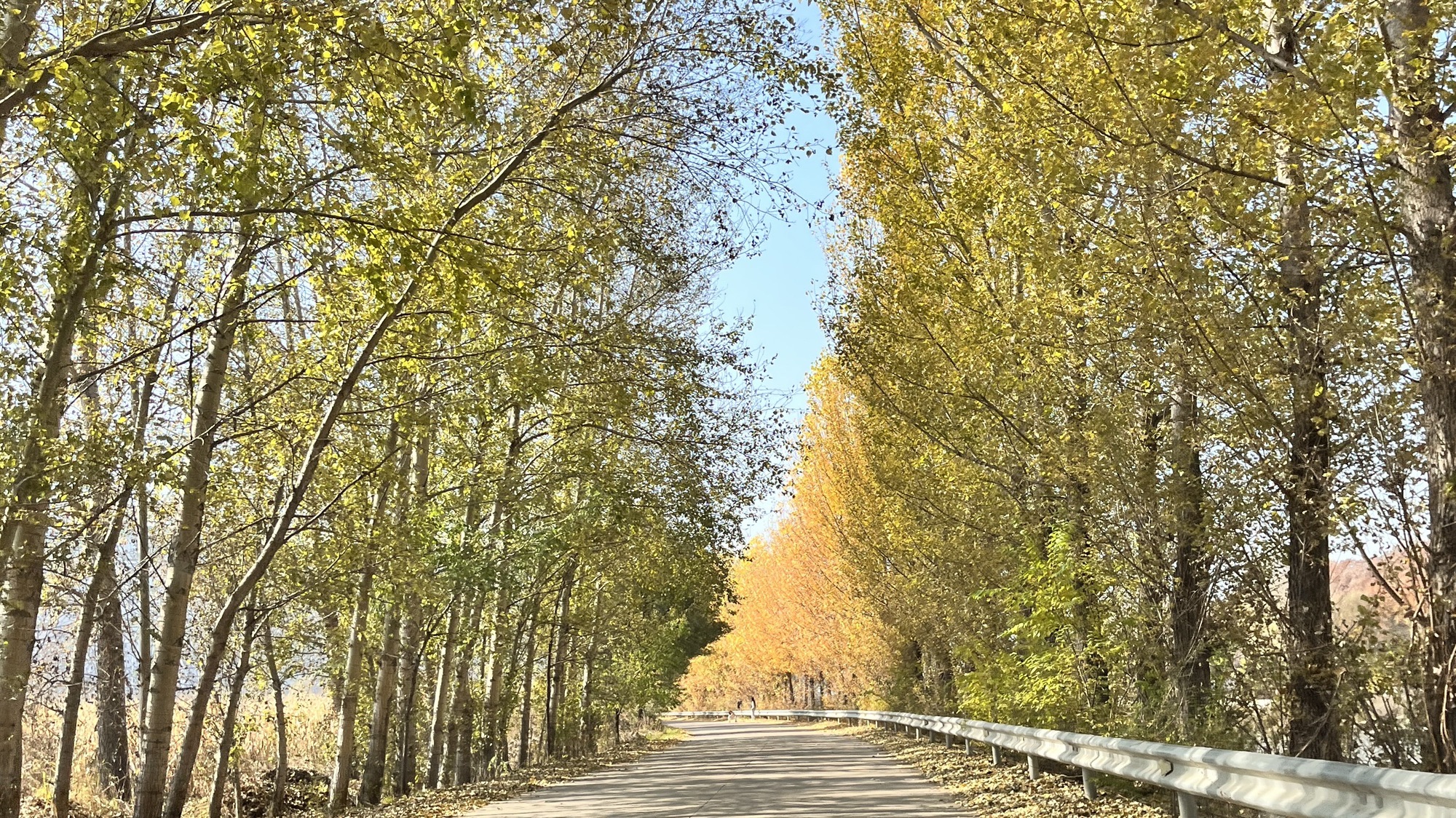 海兰湖风景区旅行图片 3