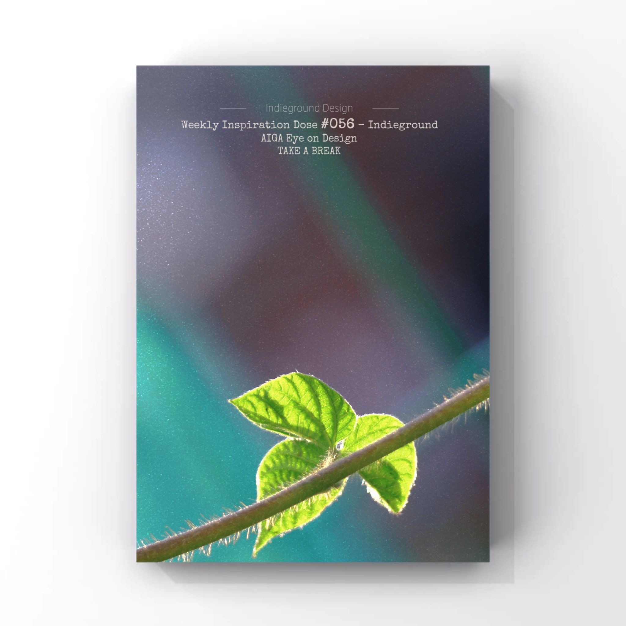 清水公园旅行图片 1