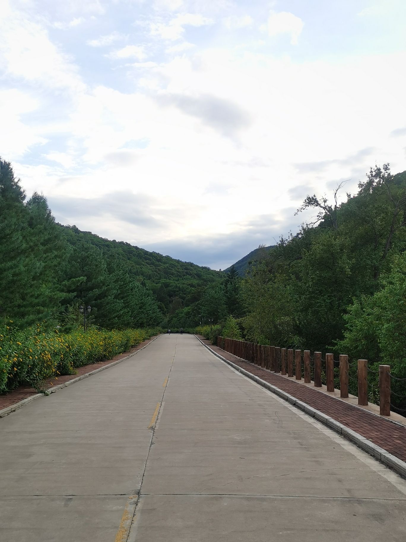 龙顺雪山飞湖旅游景区(暂停开放)旅行图片 2