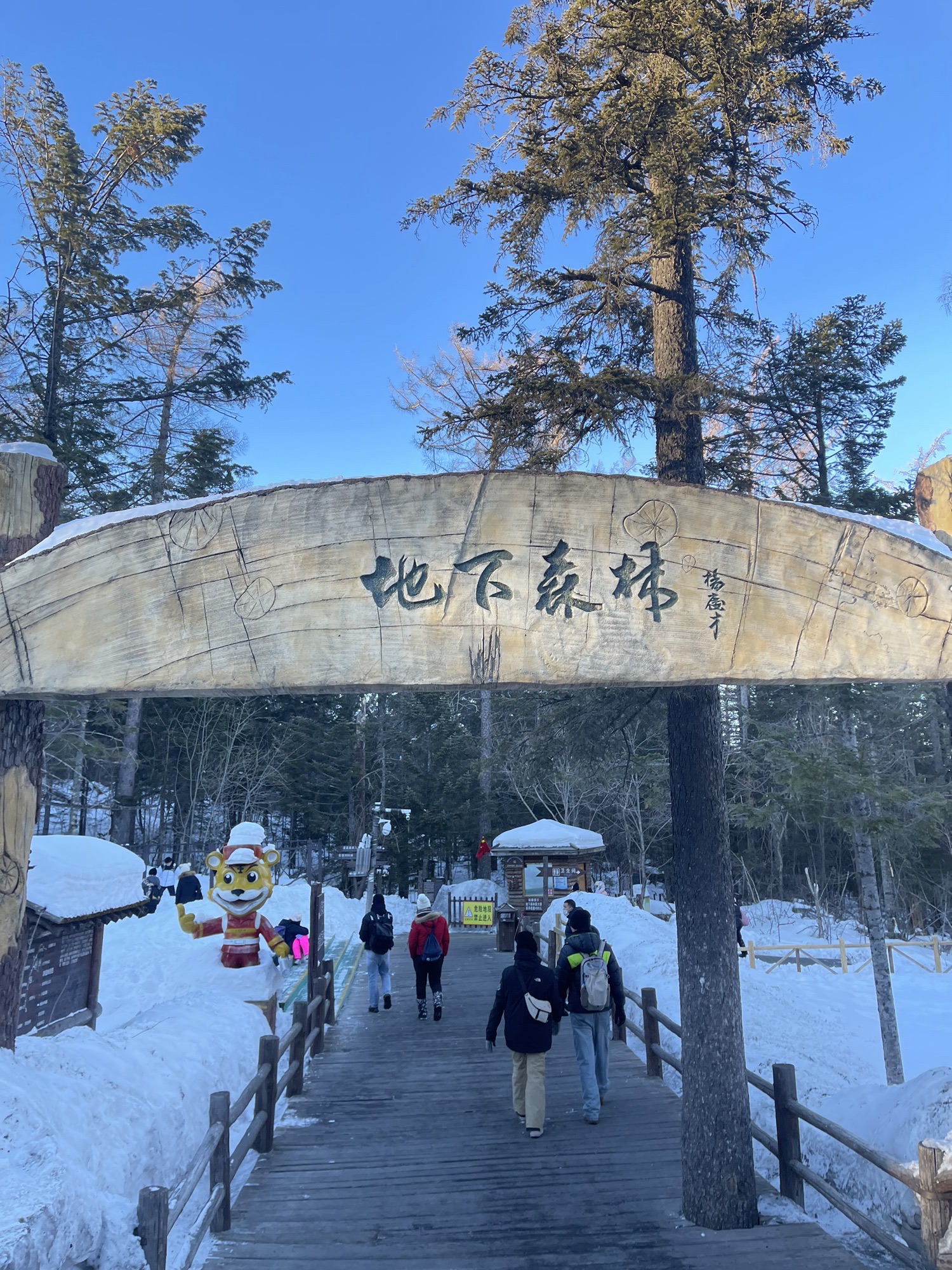 地下森林