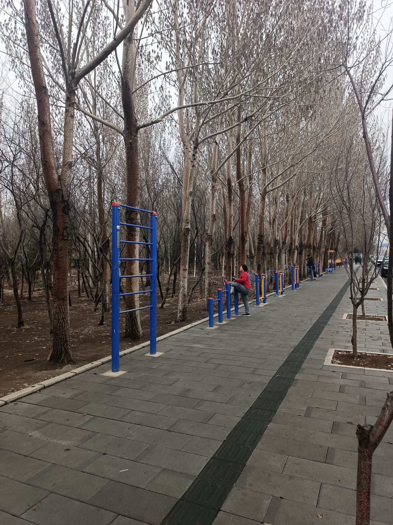 丹虹游园旅行图片 2