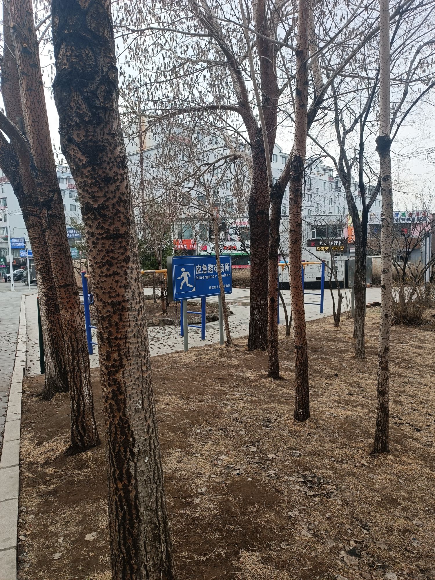 丹虹游园旅行图片 3