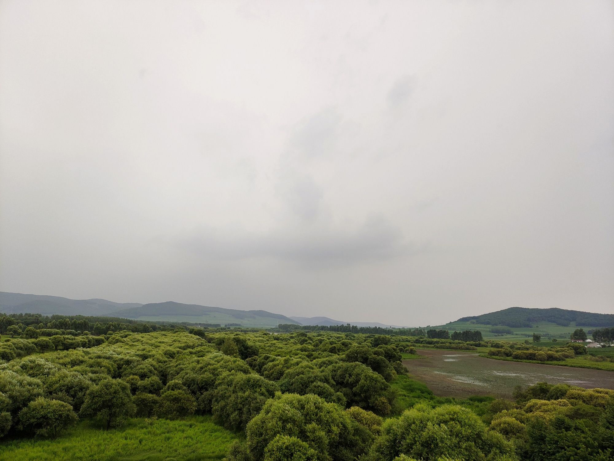 雁鸣湖湿地旅行图片 1