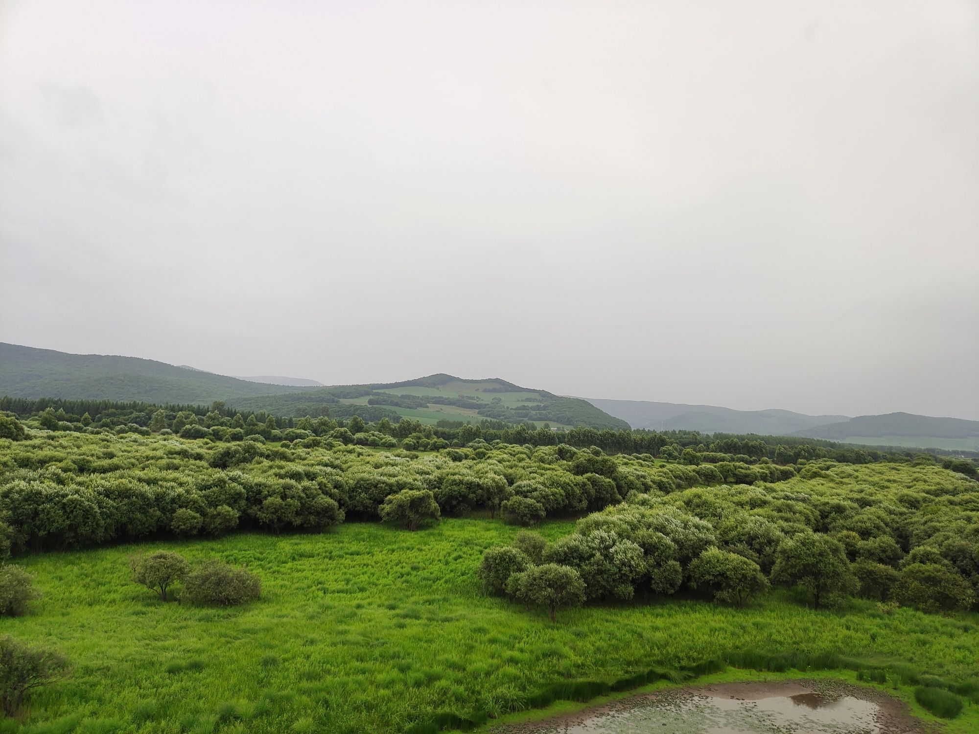 雁鸣湖湿地旅行图片 2