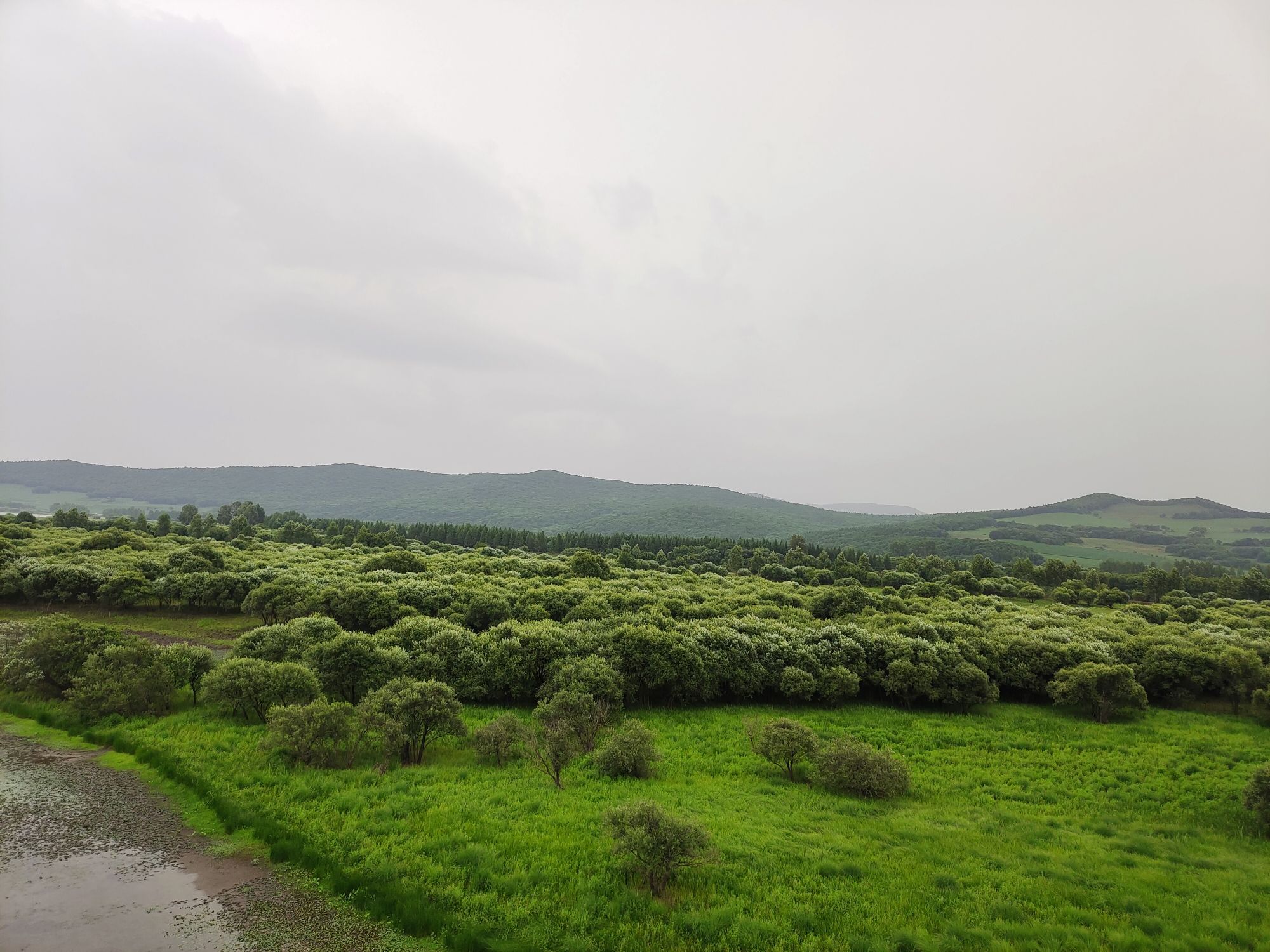 雁鸣湖湿地旅行图片 3