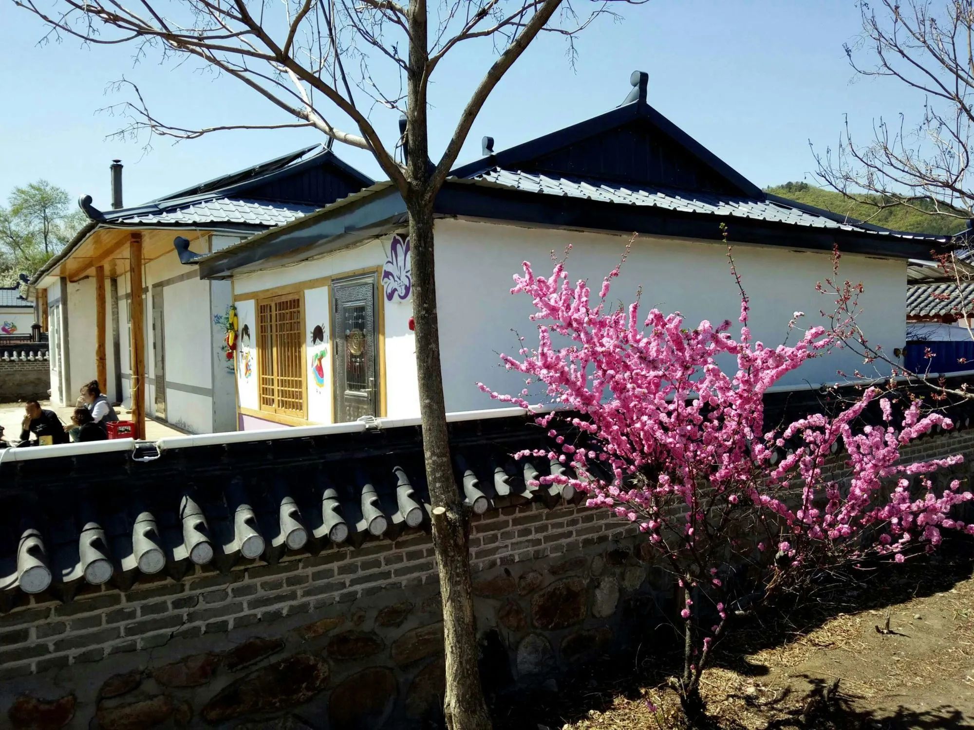 金达莱民俗村旅行图片 2
