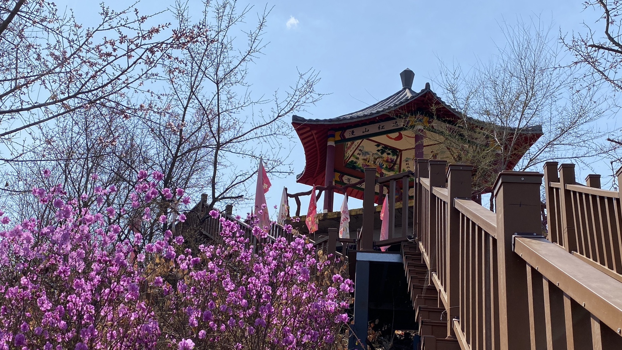 金达莱民俗村旅行图片 1