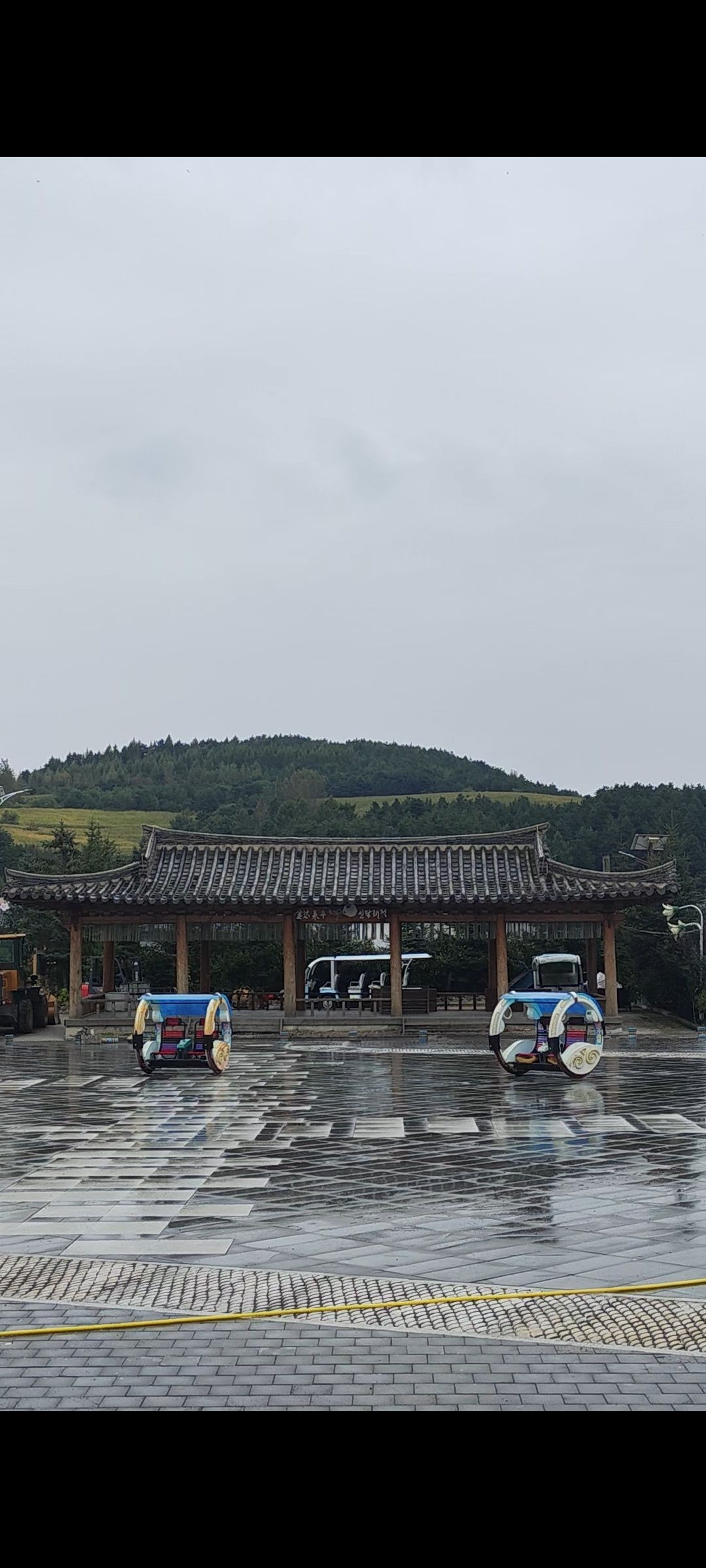 金达莱民俗村旅行图片 2