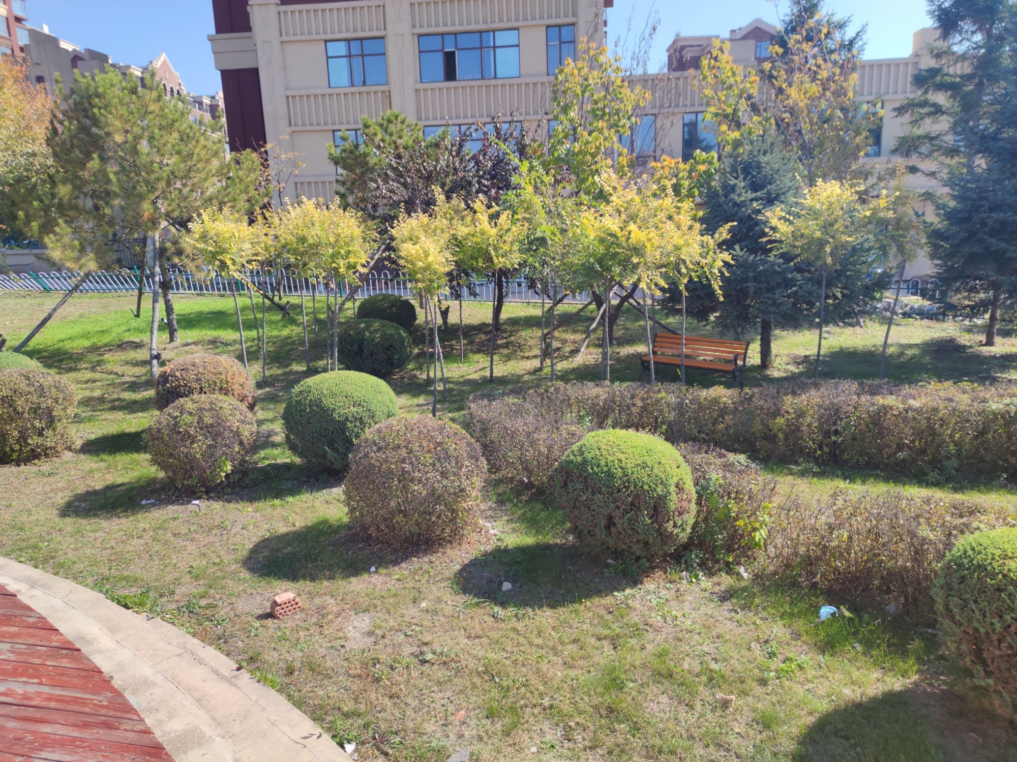 朝阳游园旅行图片 2