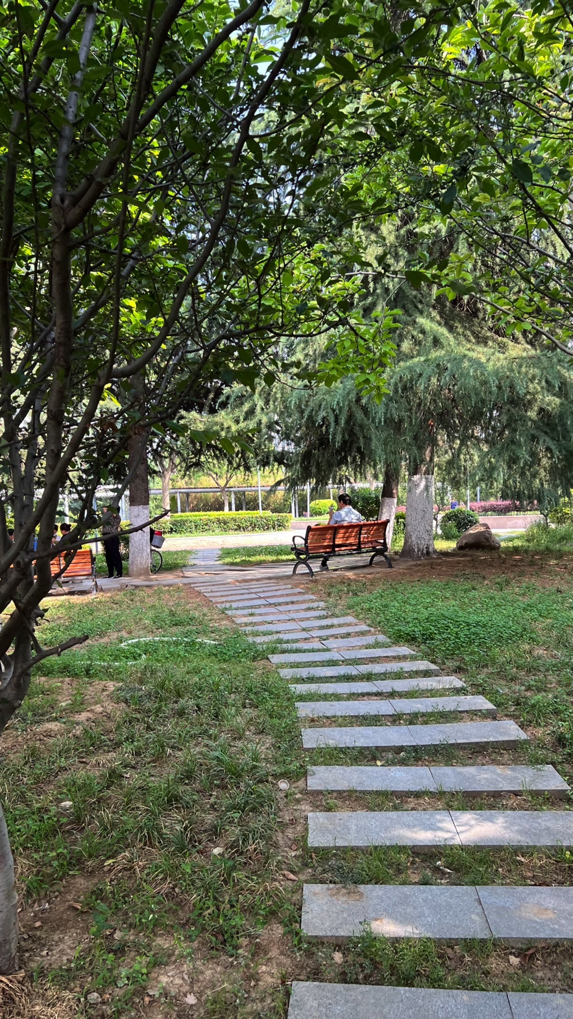 西三角游园旅行图片 1
