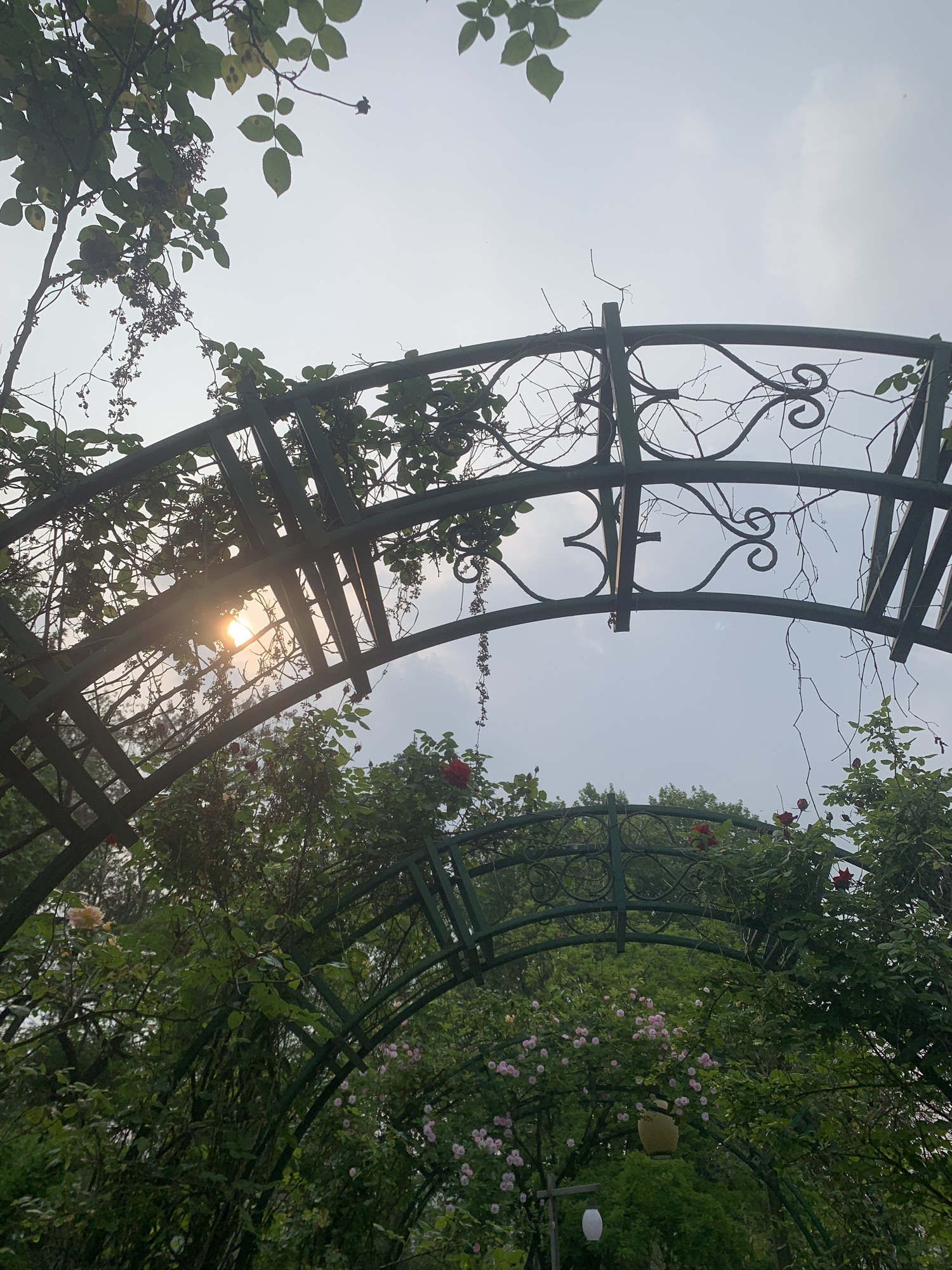 青颍公园旅行图片 3
