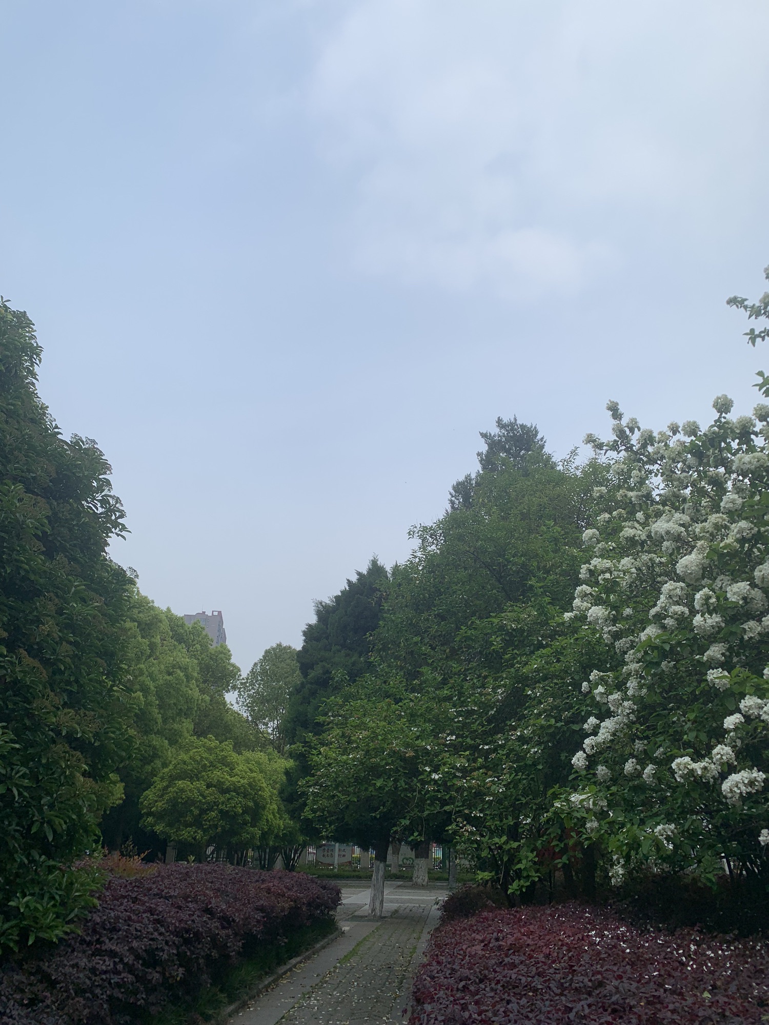 青颍公园旅行图片 2