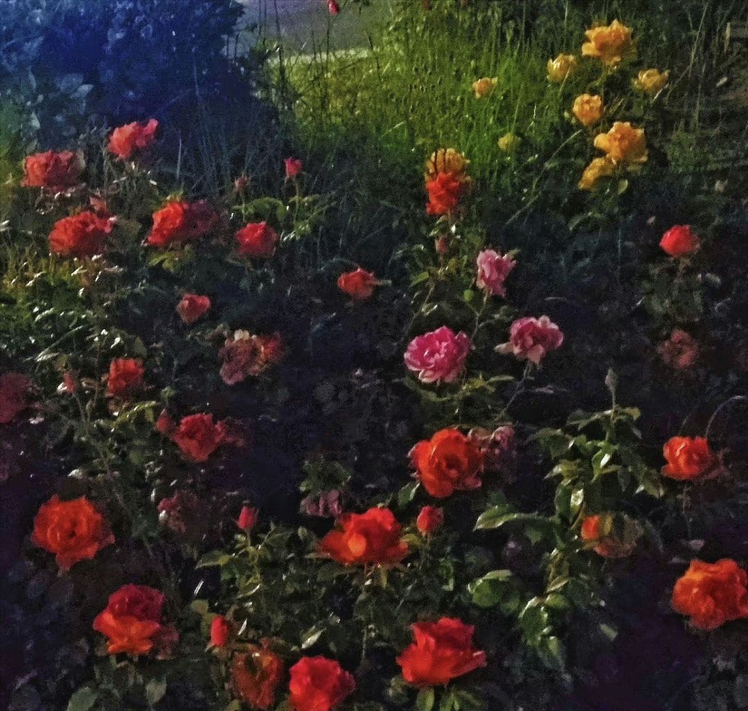 东三角游园旅行图片 1