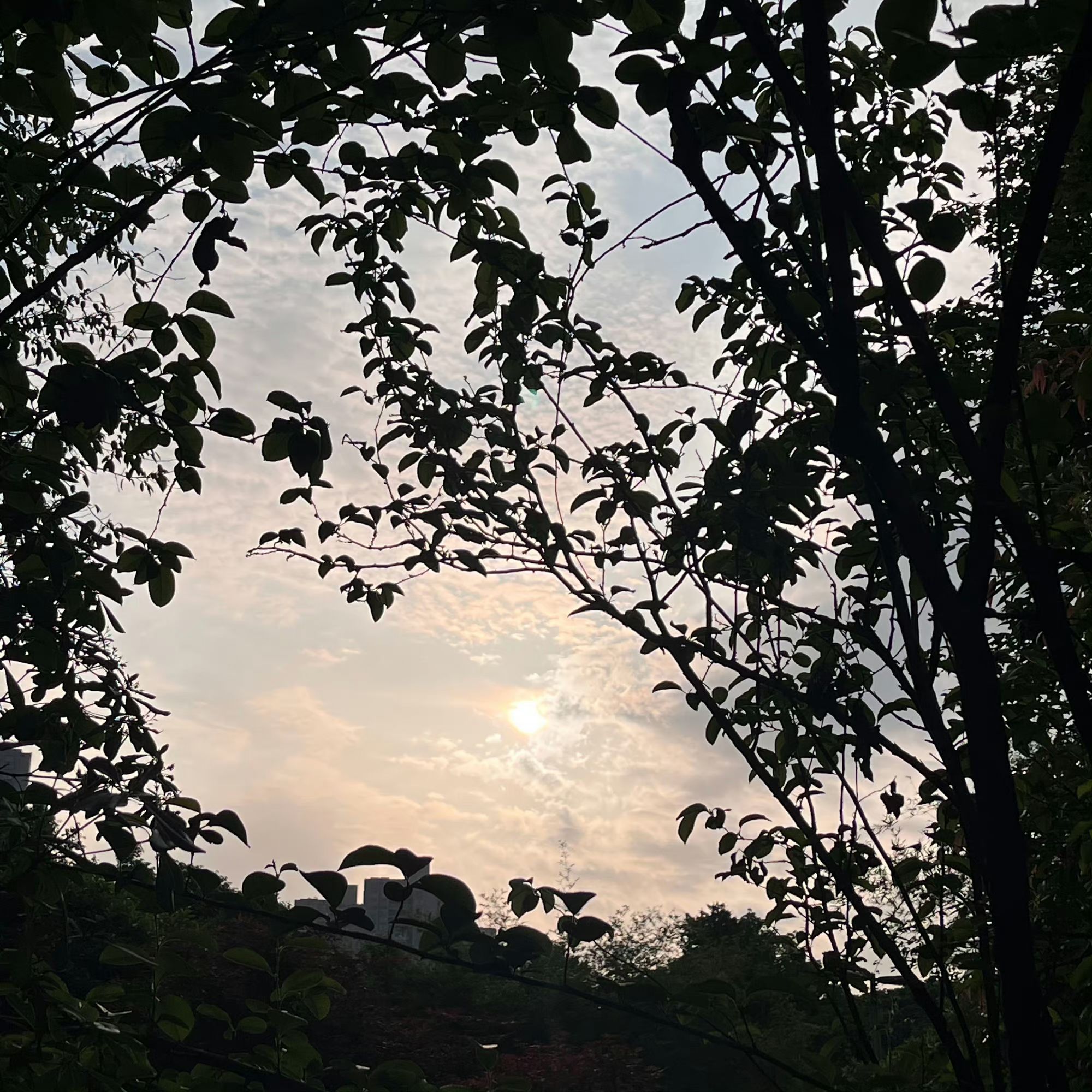 东三角游园旅行图片 2