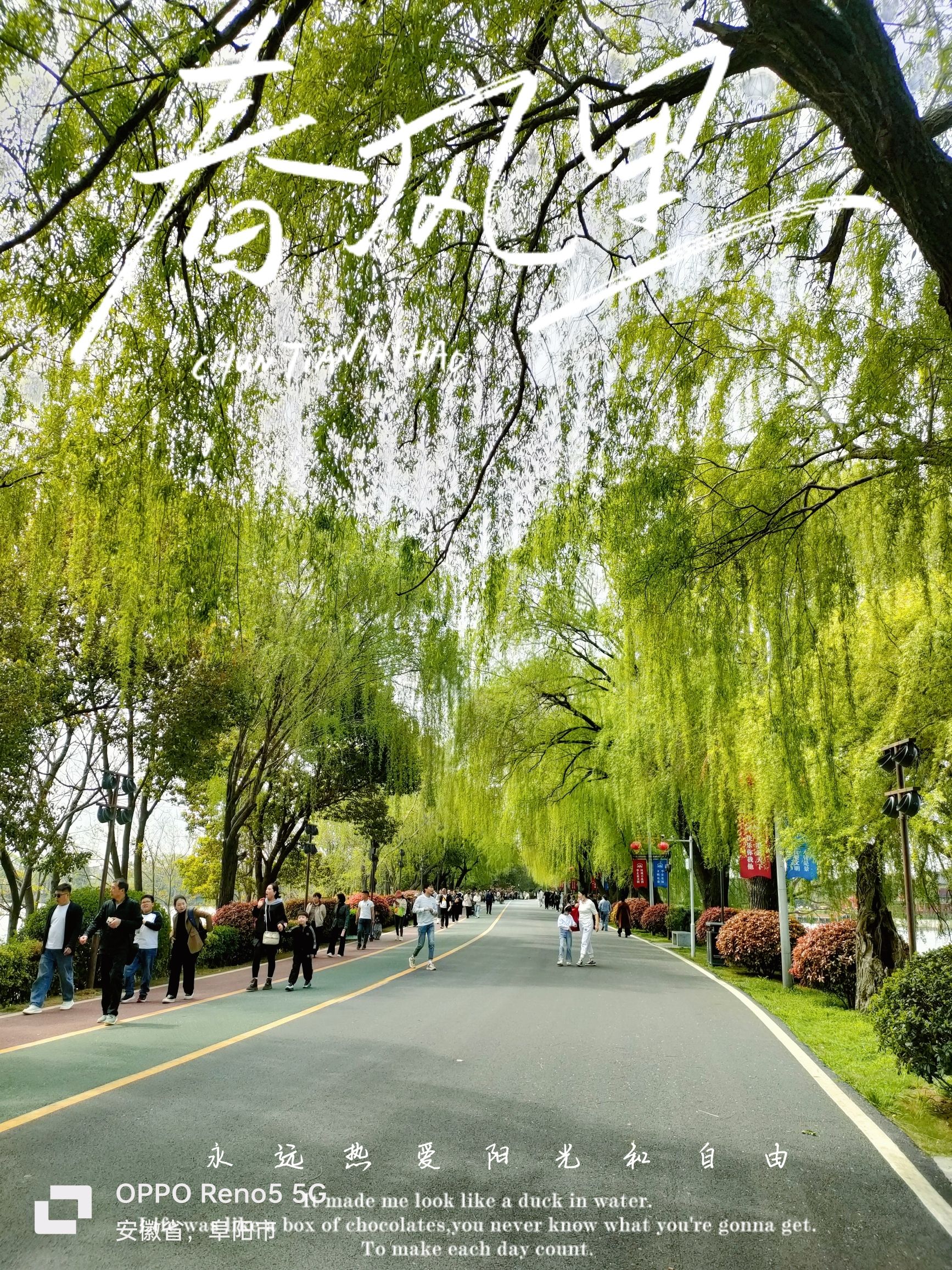 八里河旅游区旅行图片 3