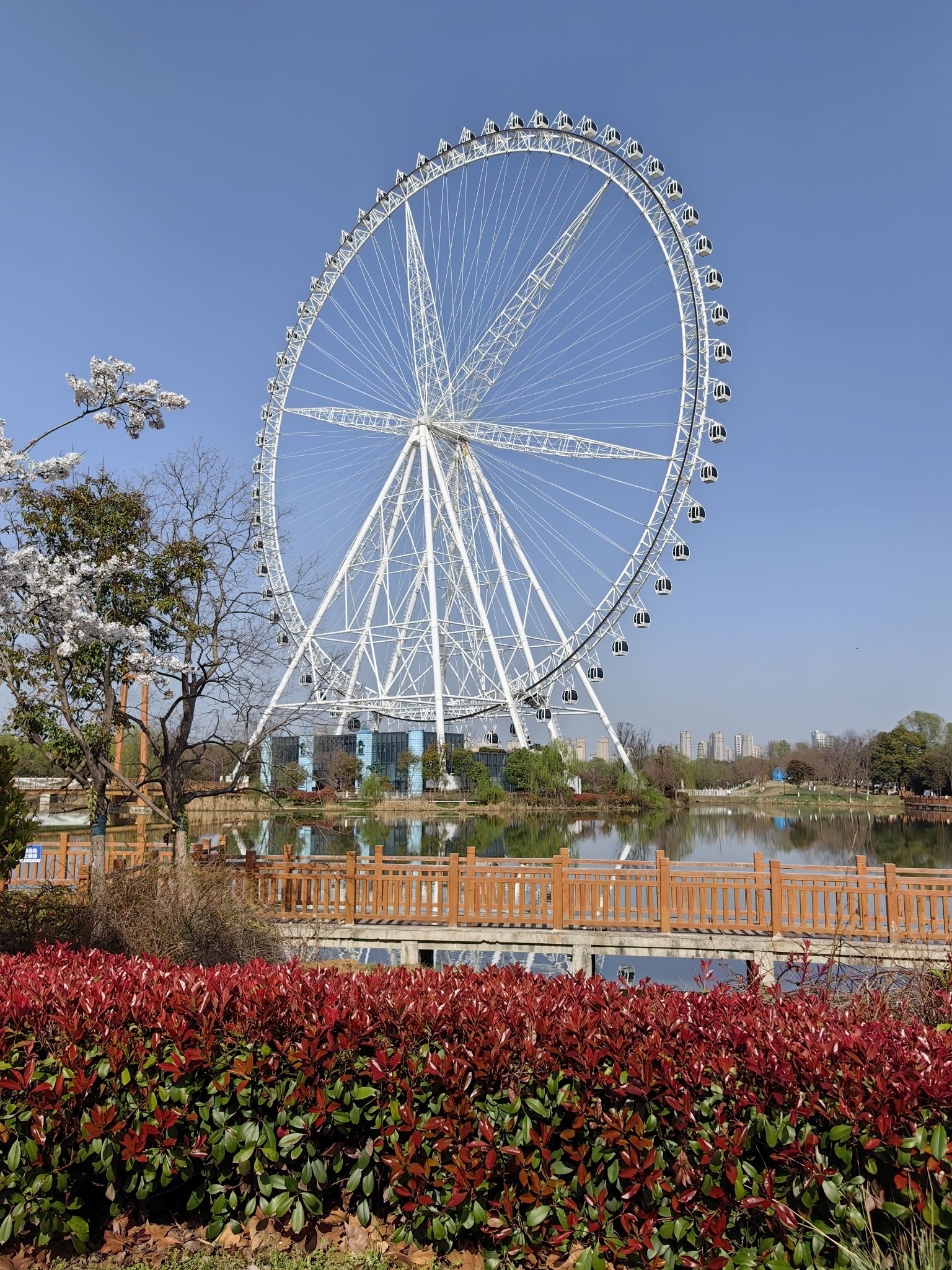 祥源颍淮阜阳生态乐园旅行图片 2