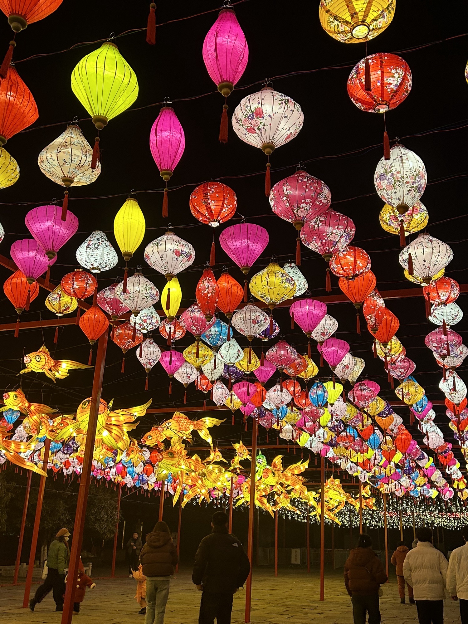 祥源颍淮阜阳生态乐园旅行图片 1