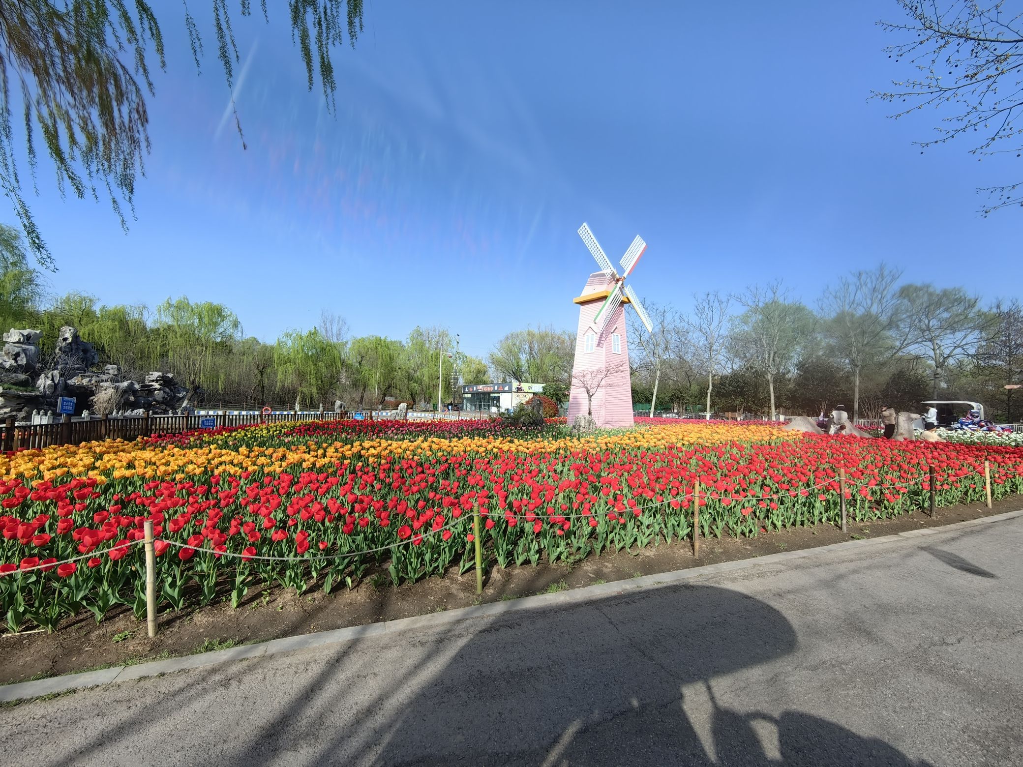 祥源颍淮阜阳生态乐园旅行图片 1