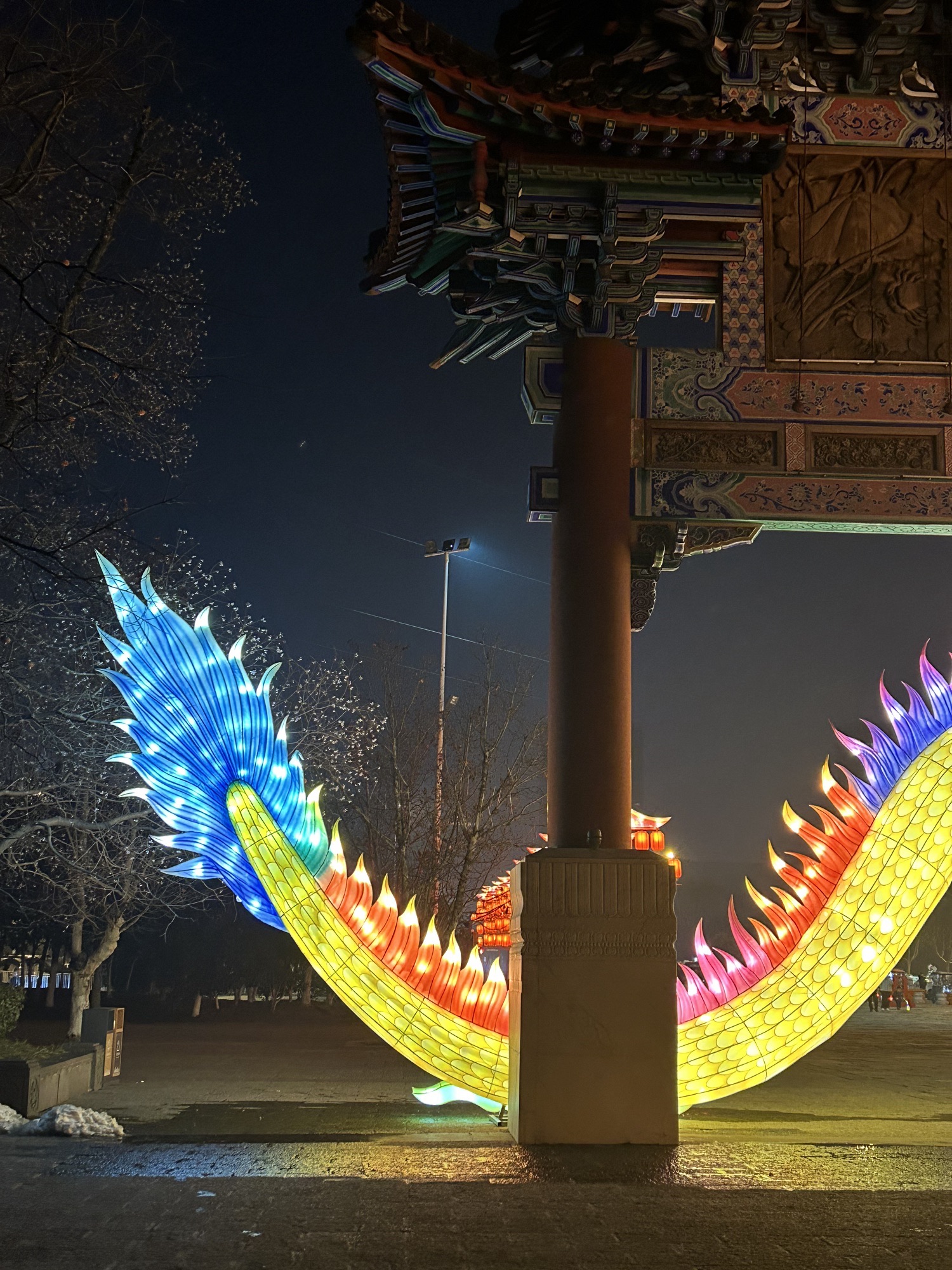 祥源颍淮阜阳生态乐园旅行图片 2