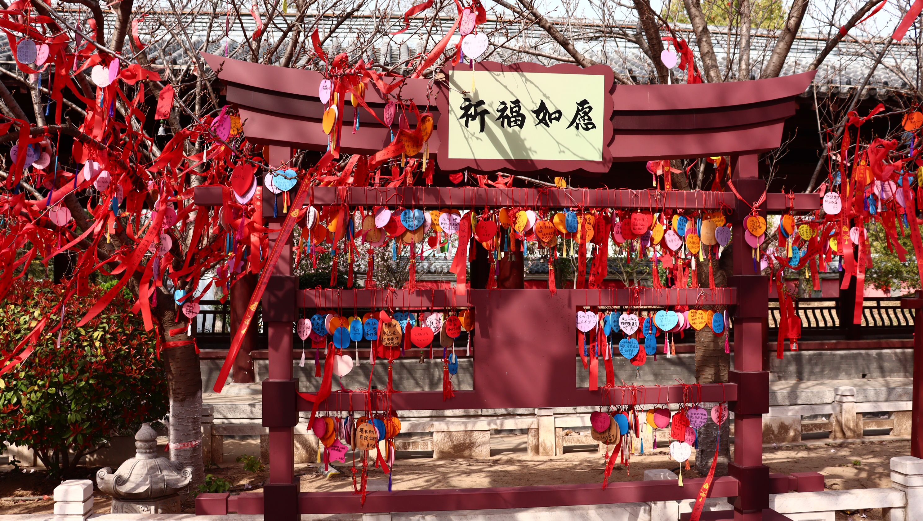 祥源颍淮阜阳生态乐园旅行图片 1