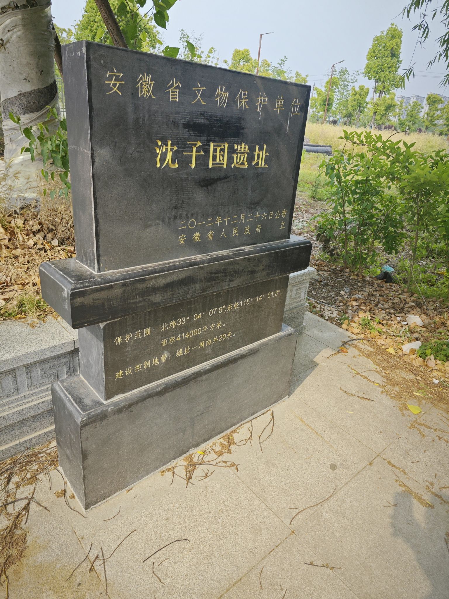白果树旅行图片 2