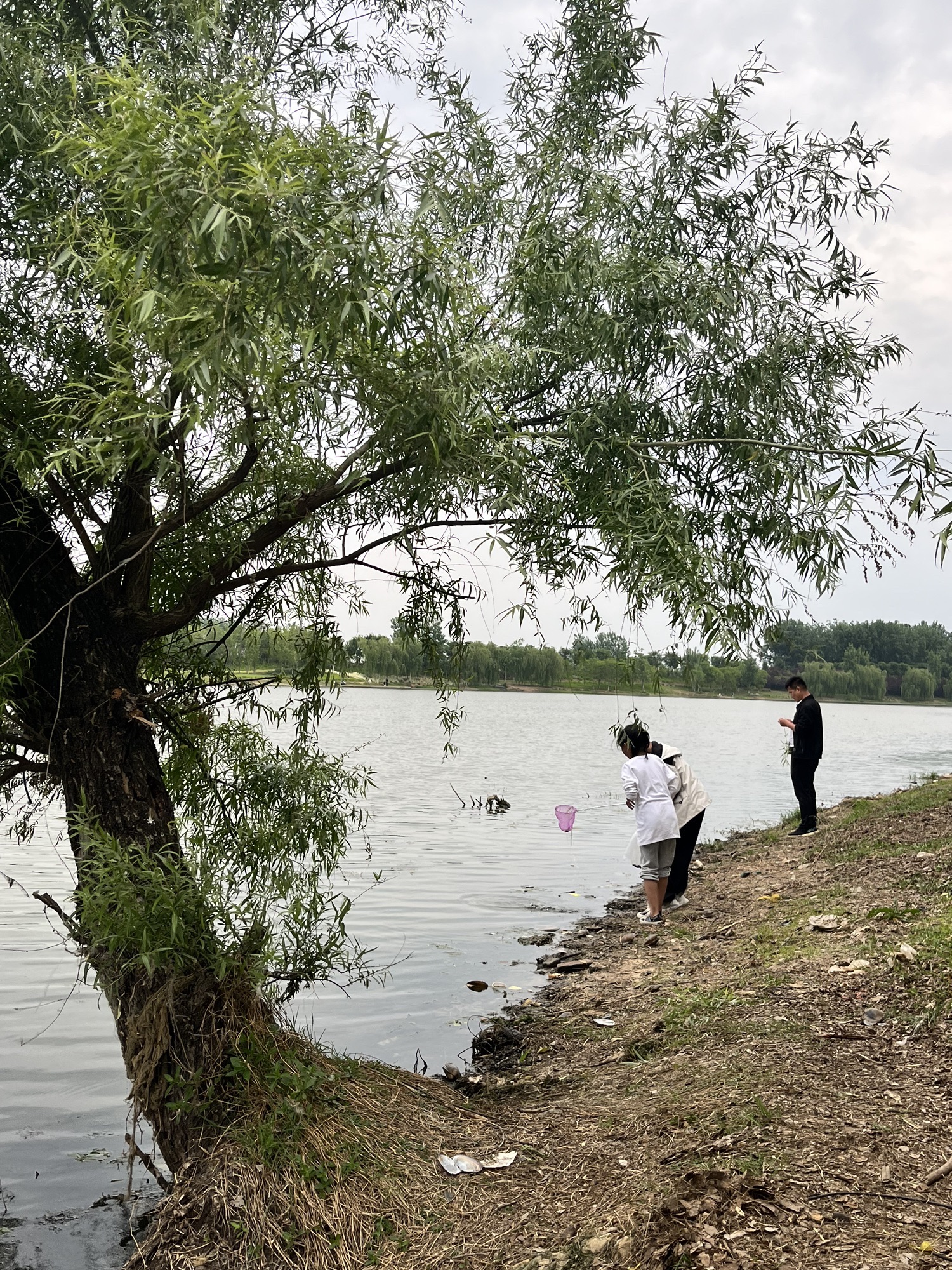 临泉县环城公园旅行图片 2