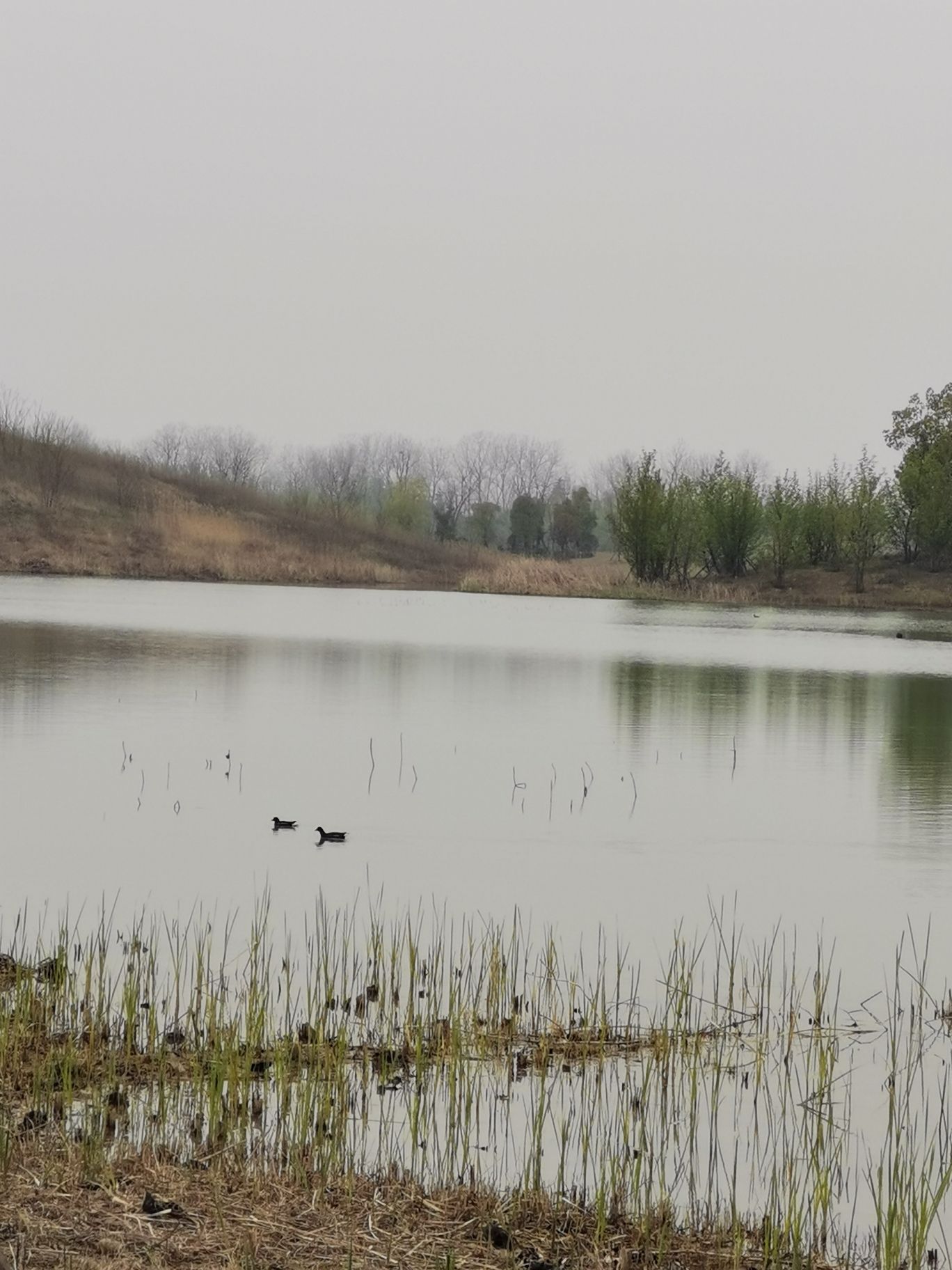 颍州西湖景区旅行图片 3