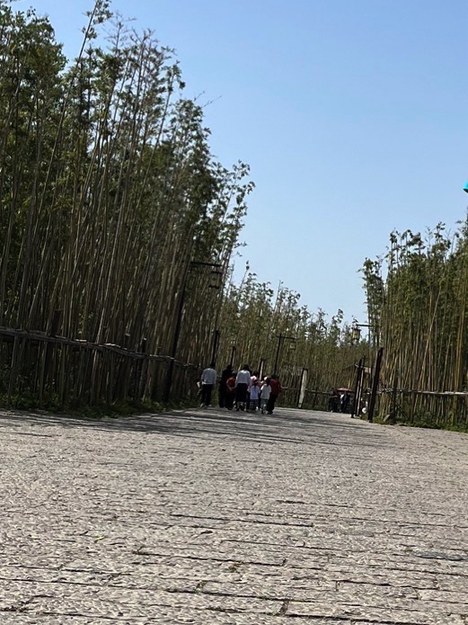 颍州西湖景区旅行图片 3
