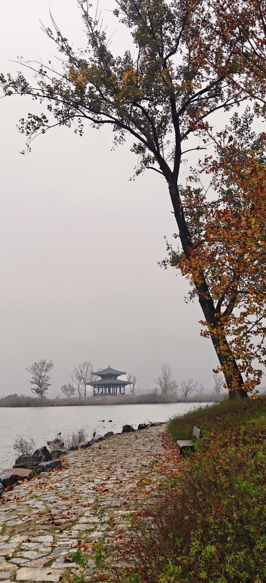 颍州西湖景区旅行图片 2