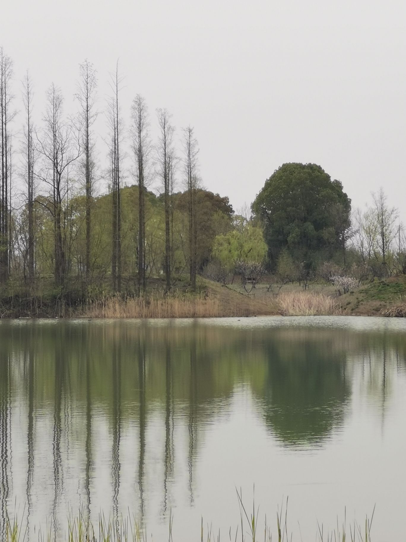 颍州西湖景区旅行图片 1