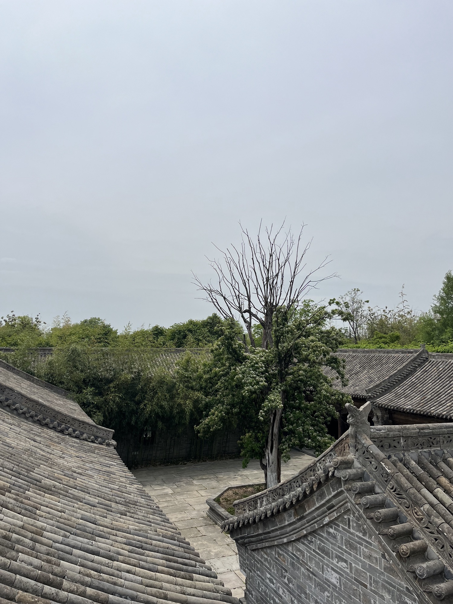 尤家花园旅行图片 3