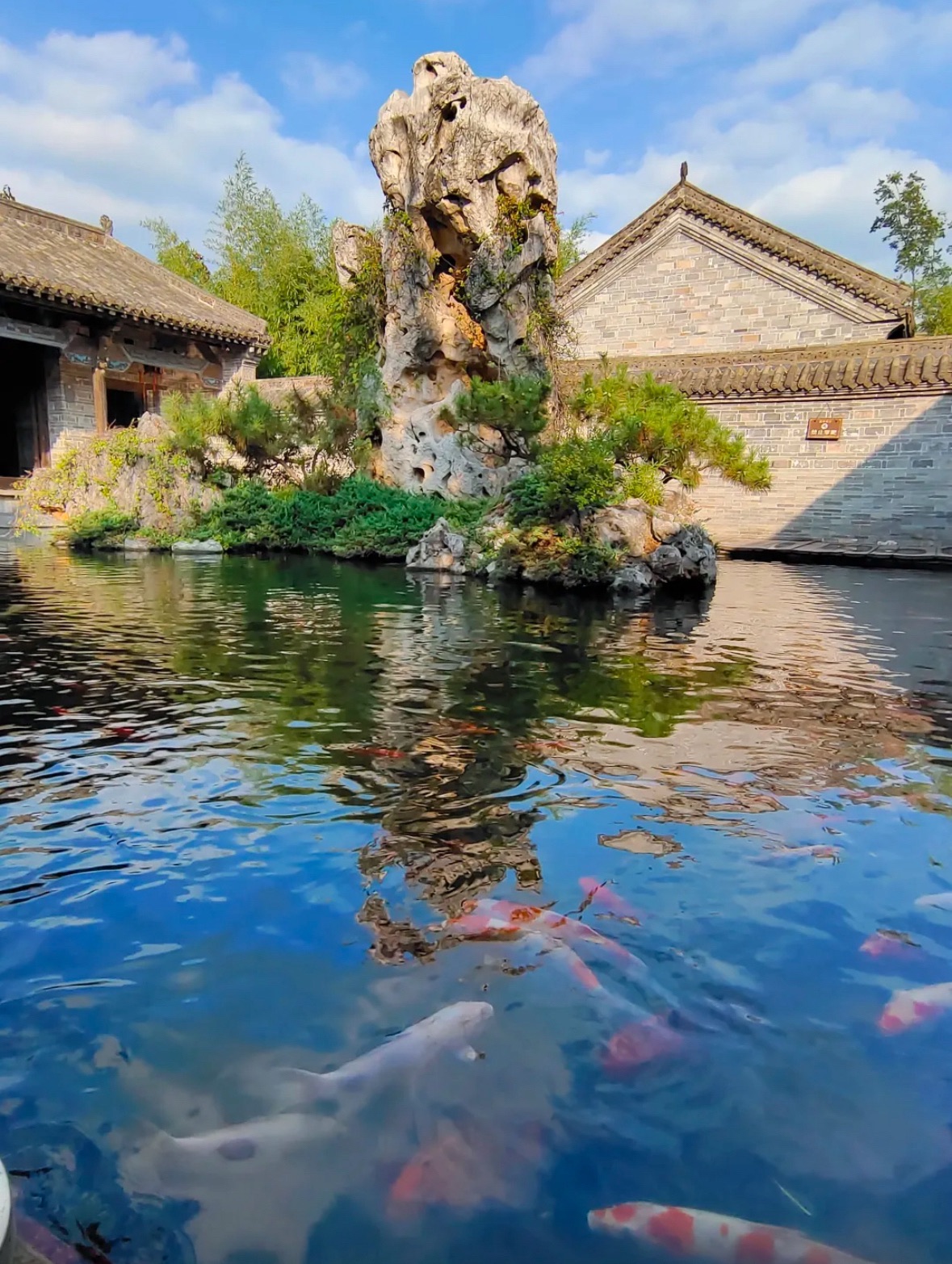 尤家花园旅行图片 2