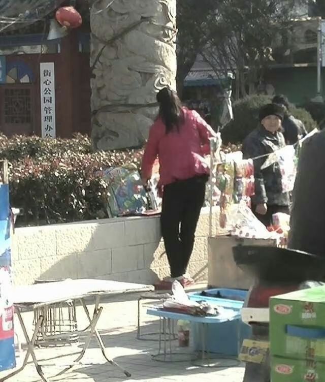 阜南街心公园旅行图片 2